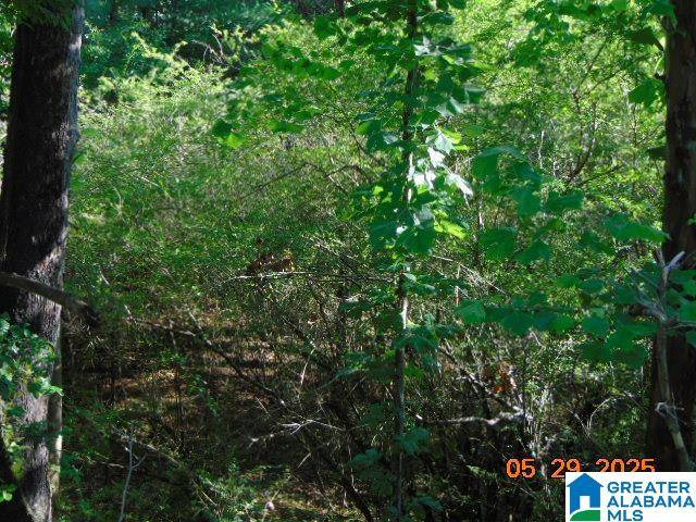 Marion, AL 36756,0 ONROW TUBBS ROAD #1