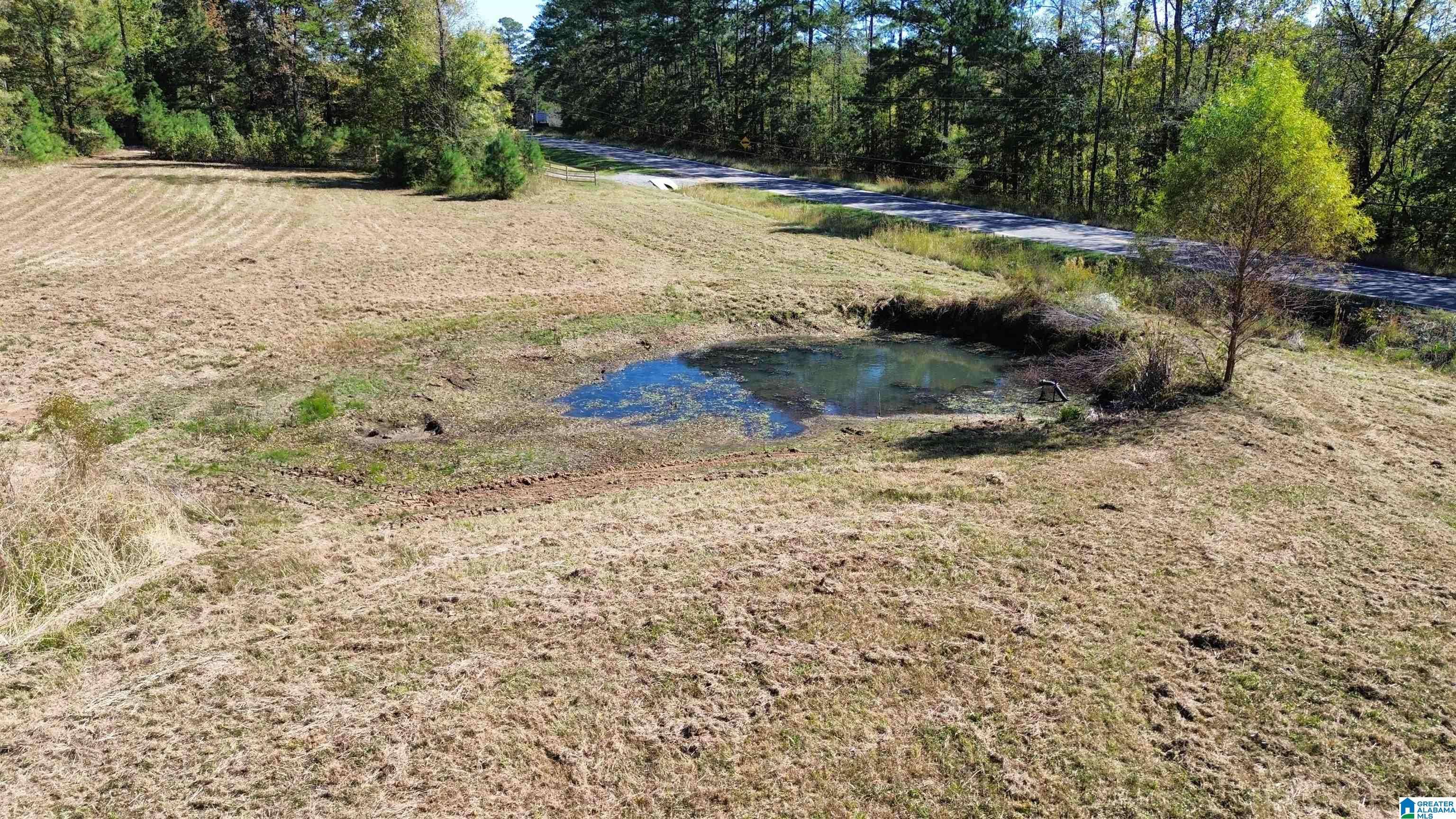 Ashville, AL 35953,20227 US HIGHWAY 11 #0