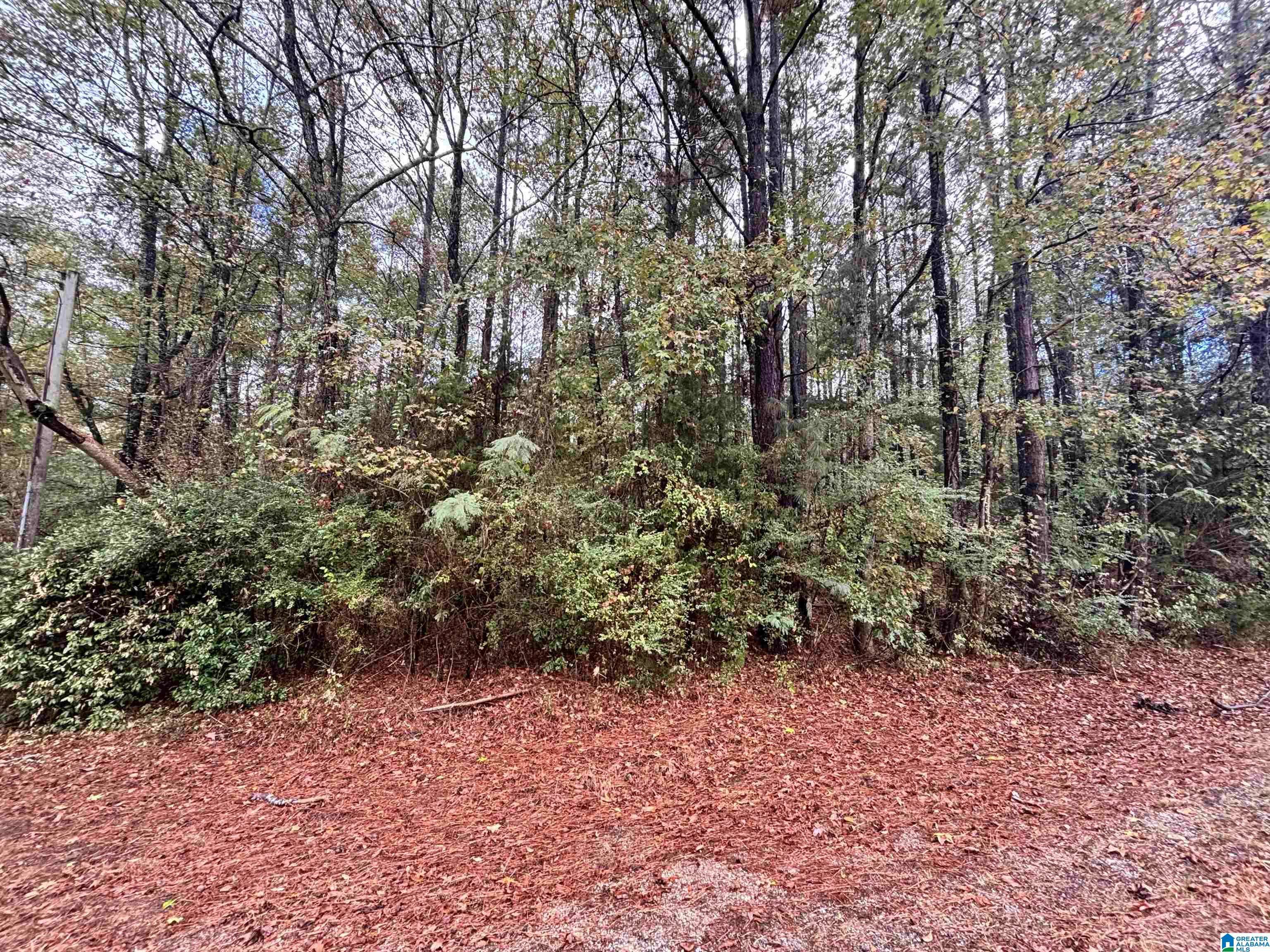 Columbiana, AL 35051,275 JONESBORO CIRCLE #--