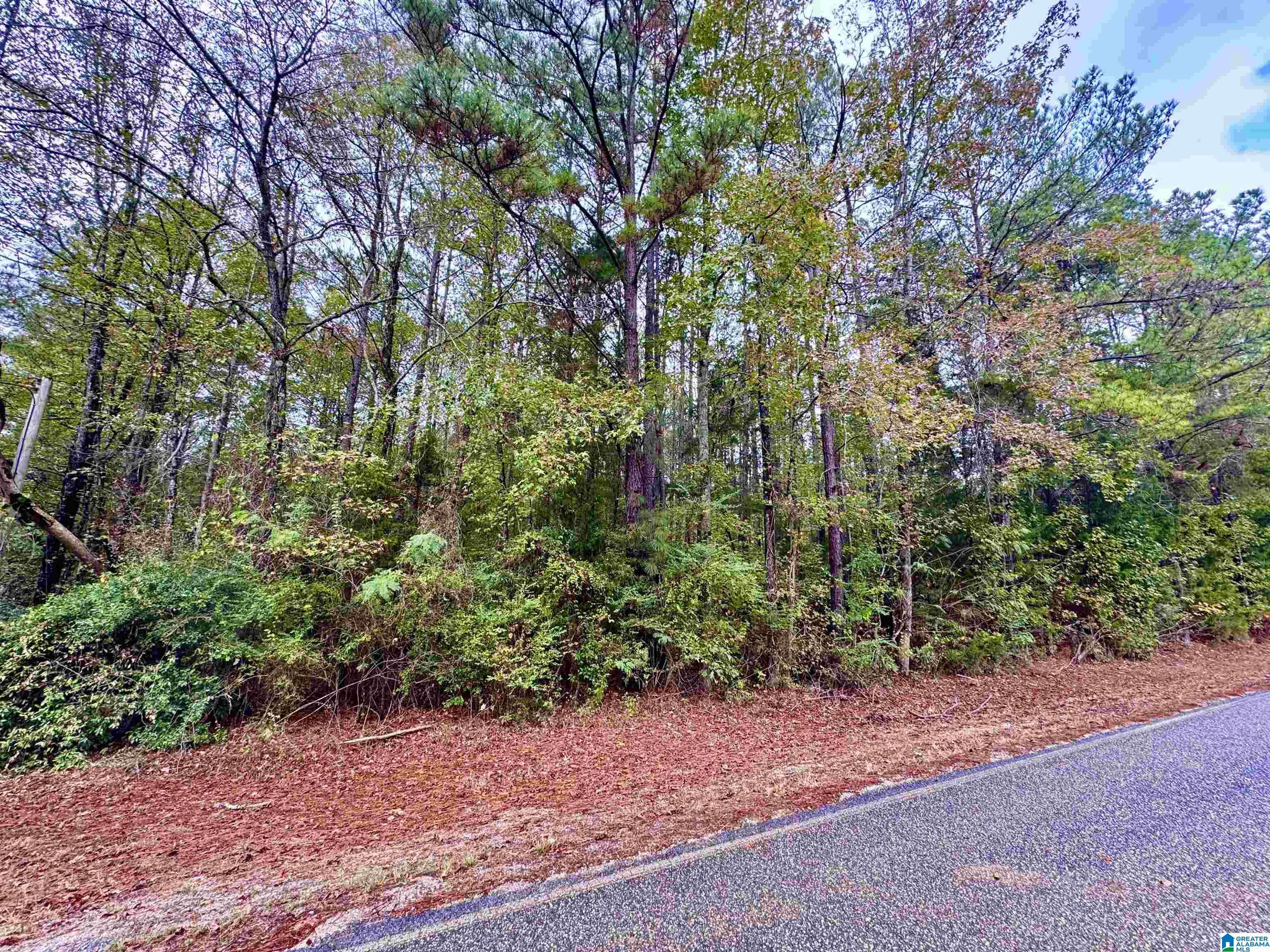 Columbiana, AL 35051,275 JONESBORO CIRCLE #--