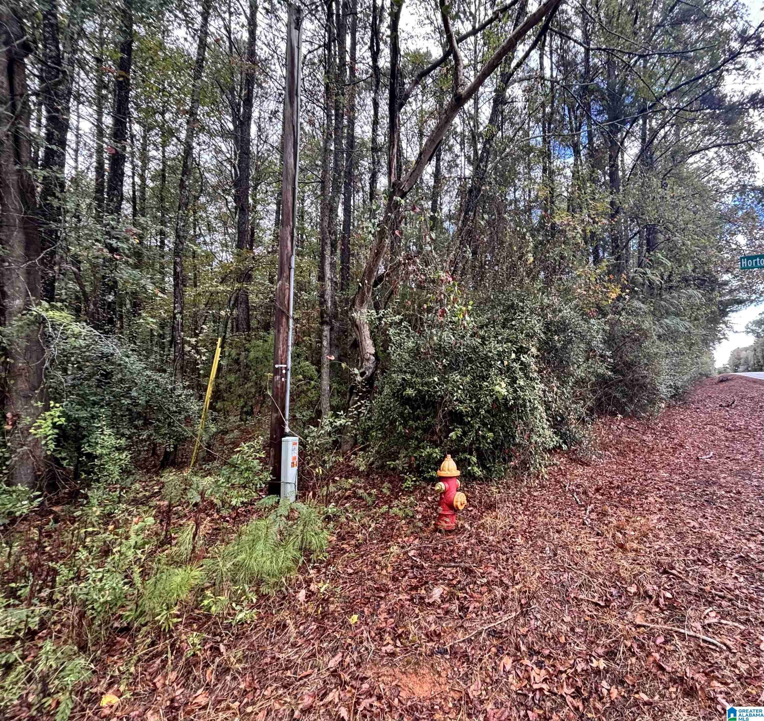 Columbiana, AL 35051,275 JONESBORO CIRCLE #--