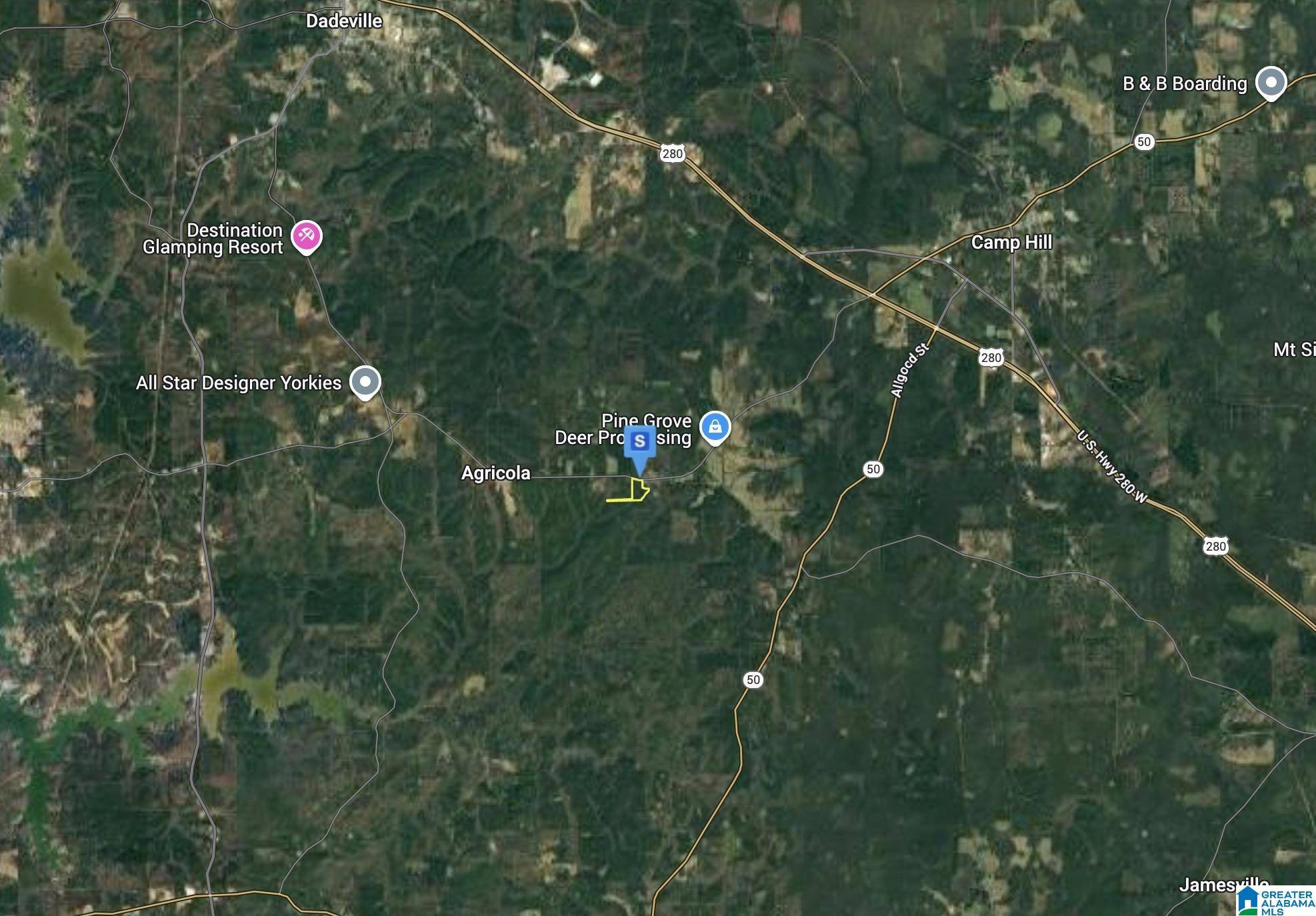 County, AL 36853,3701 COUNTY ROAD 34 #1