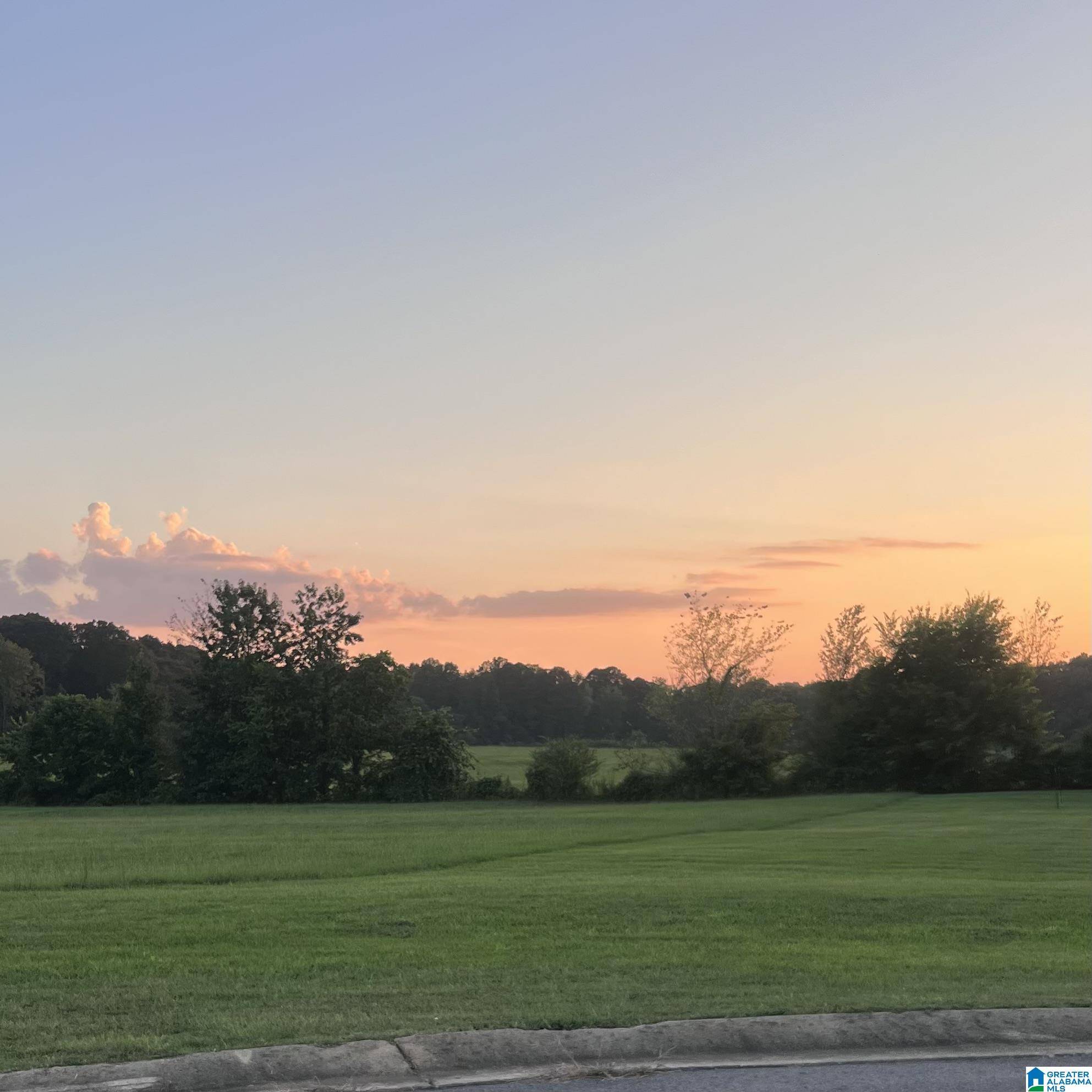 Dora, AL 35062,4909 MICHAEL DRIVE #Lot #3