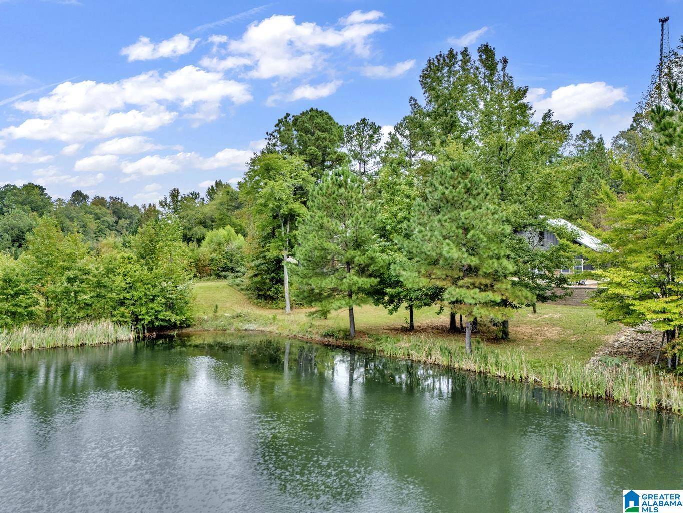 Hanceville, AL 35077,210 COUNTY ROAD 479