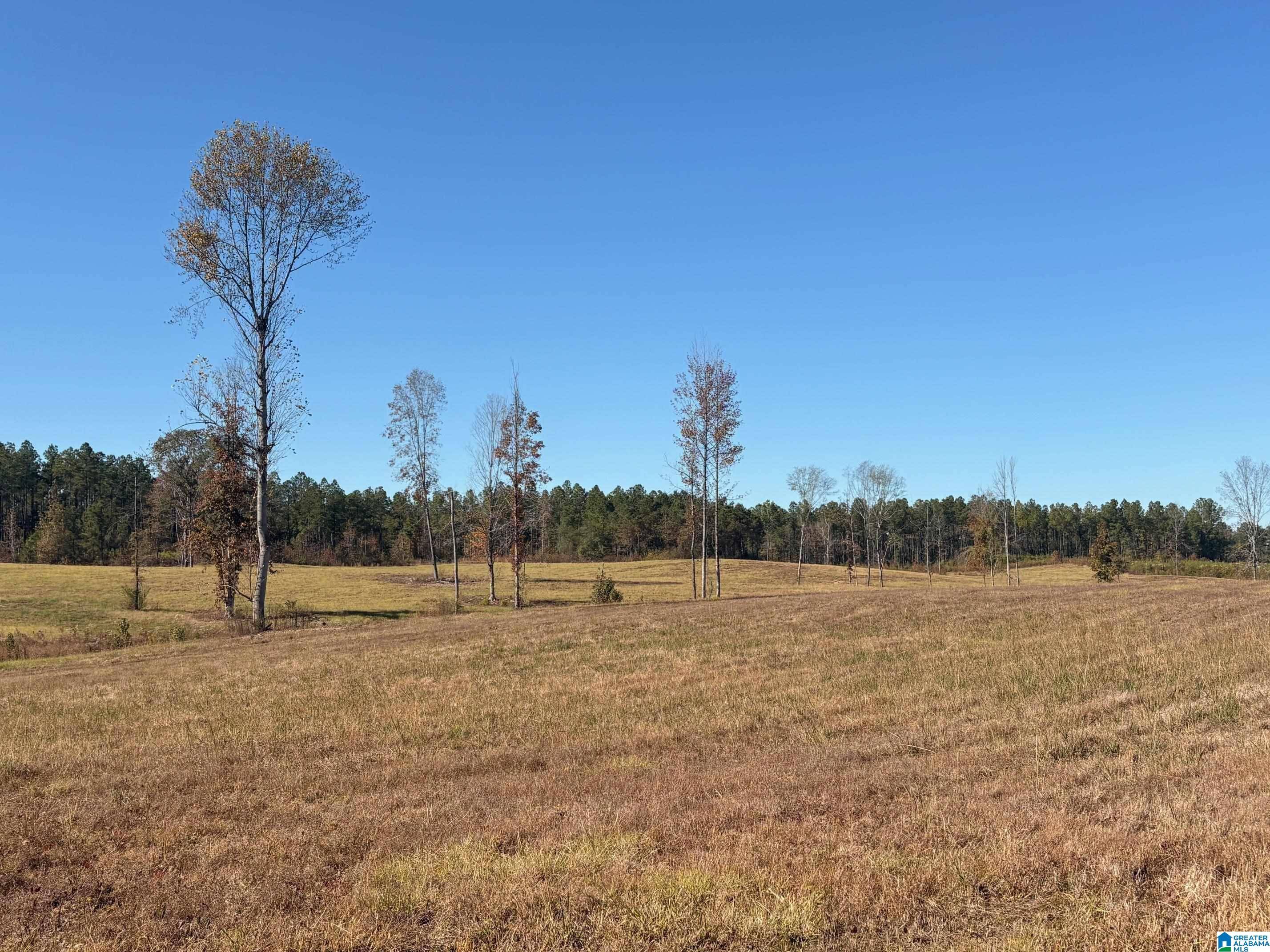 Columbiana, AL 35051,3679 CHELSEA ROAD #2