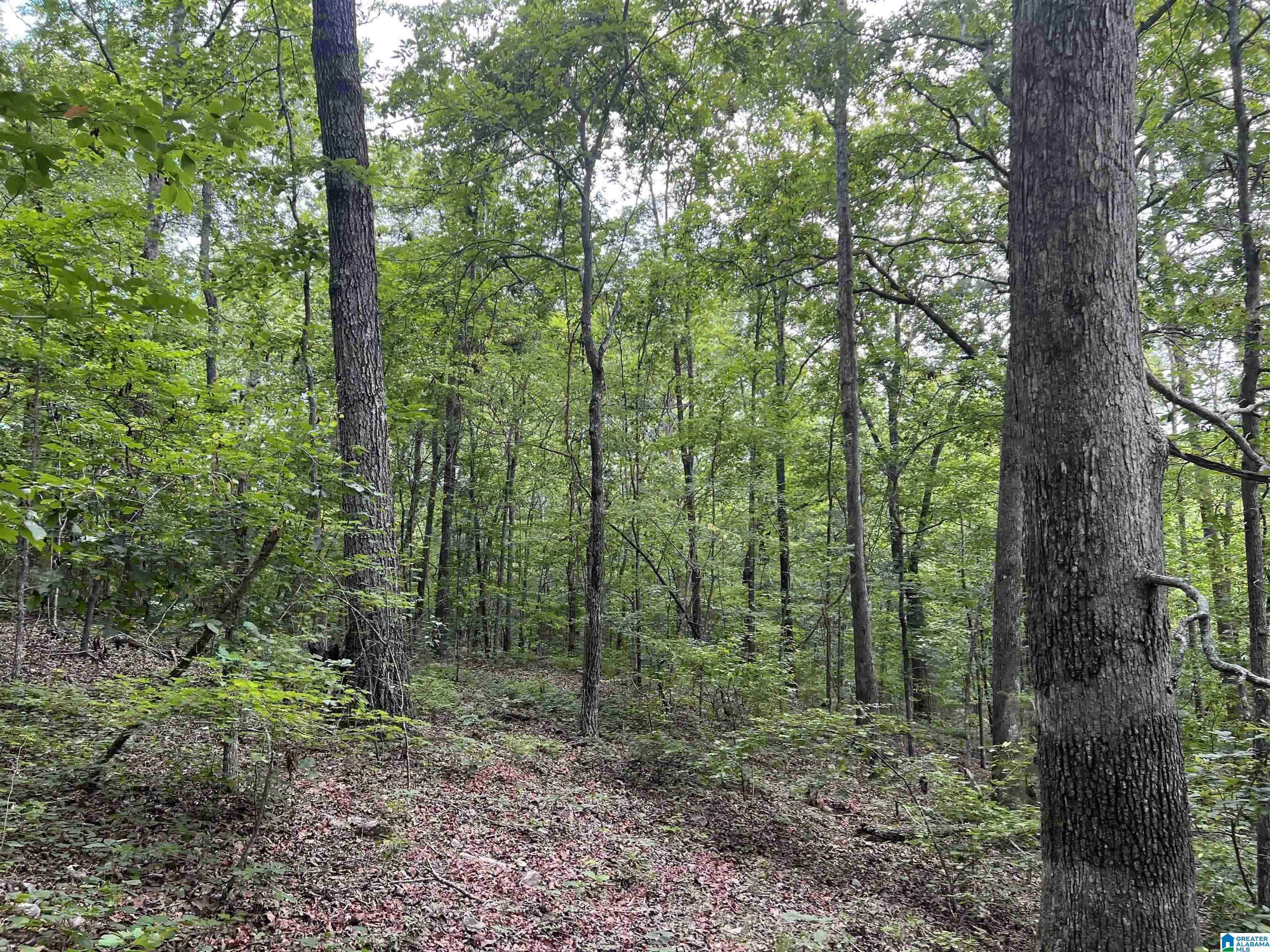 Anniston, AL 36207,581 OLD HIGHWAY 9 #0