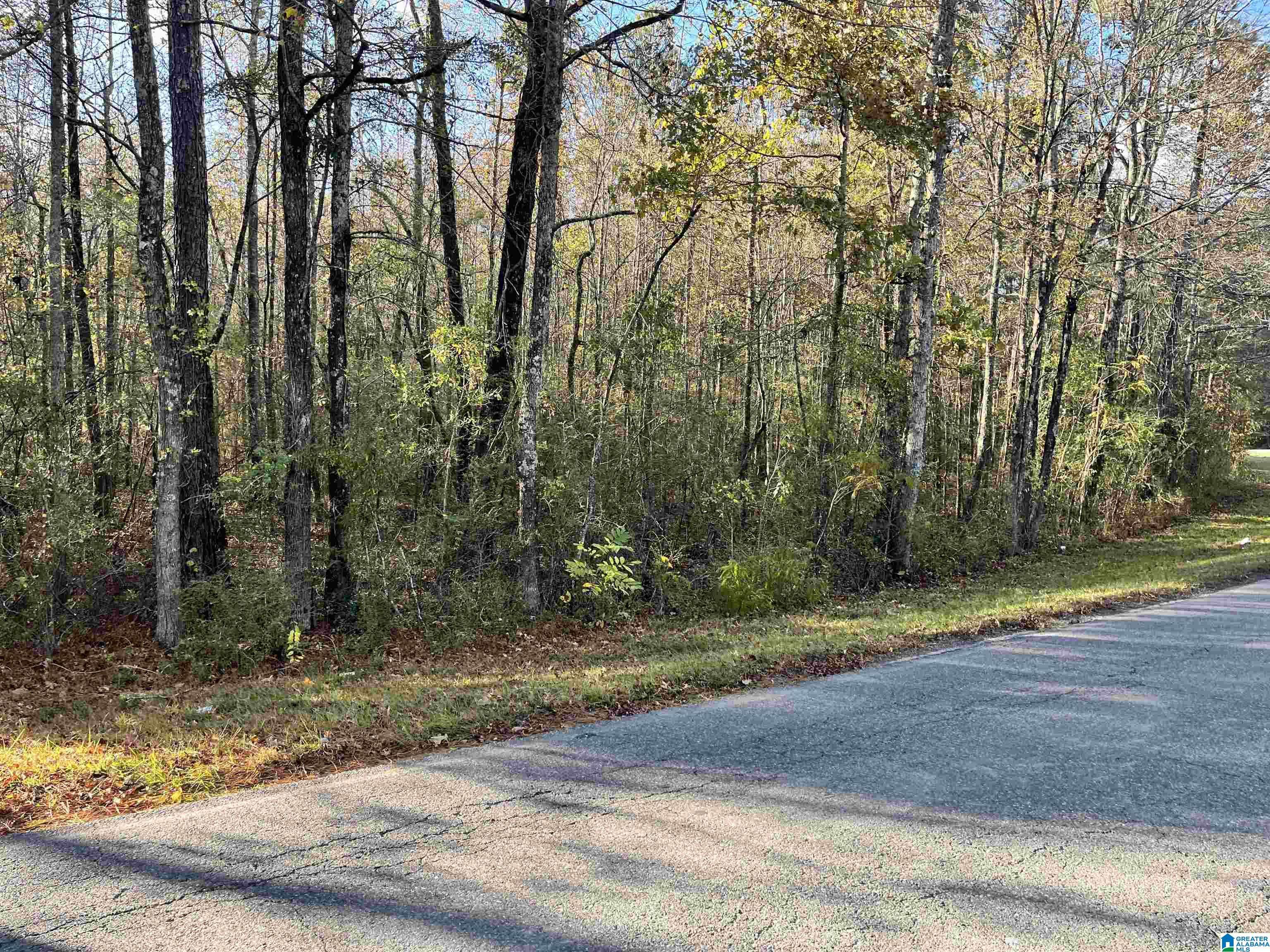 Pell City, AL 35125,0 OLD COAL CITY ROAD #1