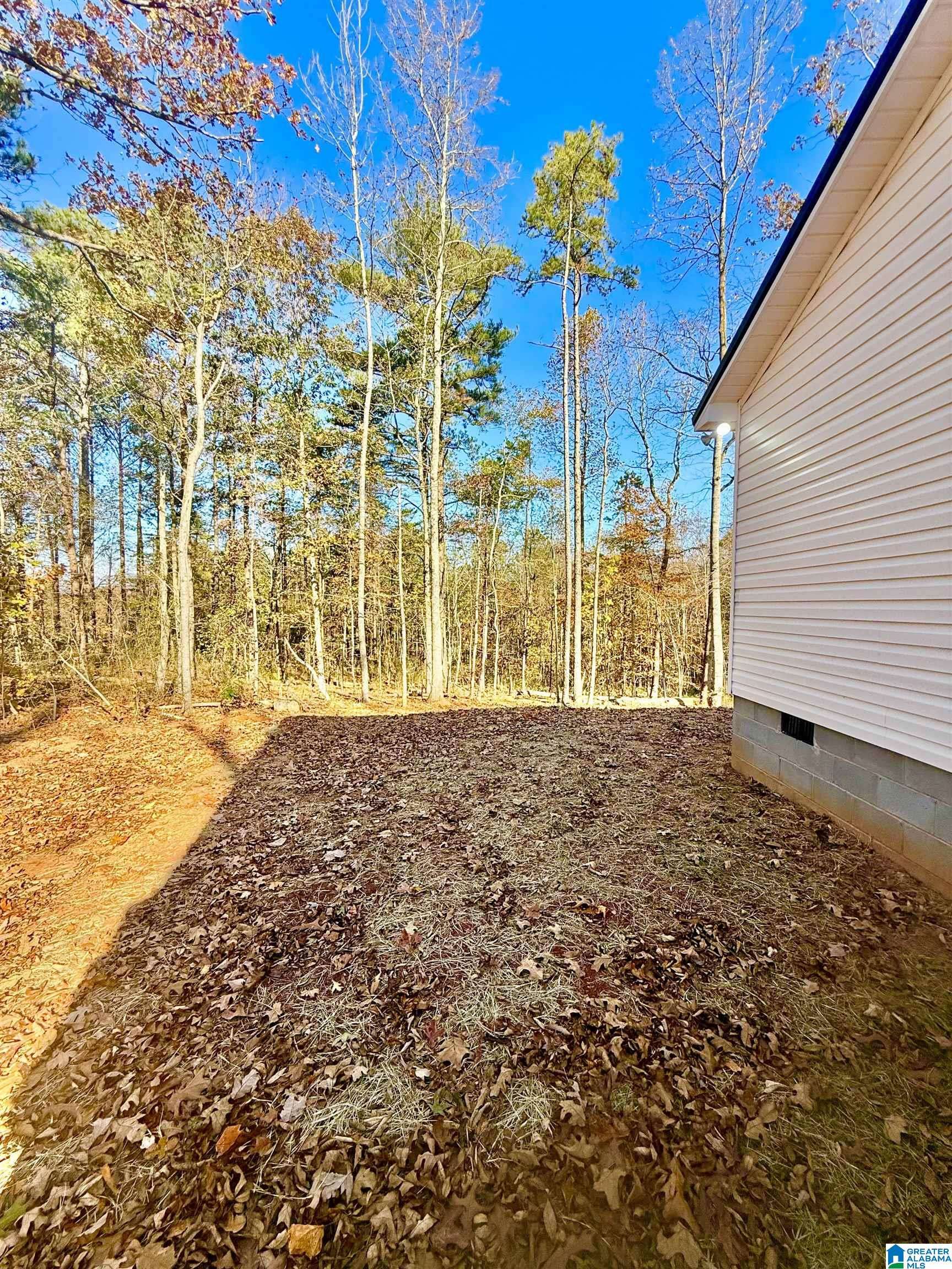 Roanoke, AL 36274,12785 COUNTY ROAD 65