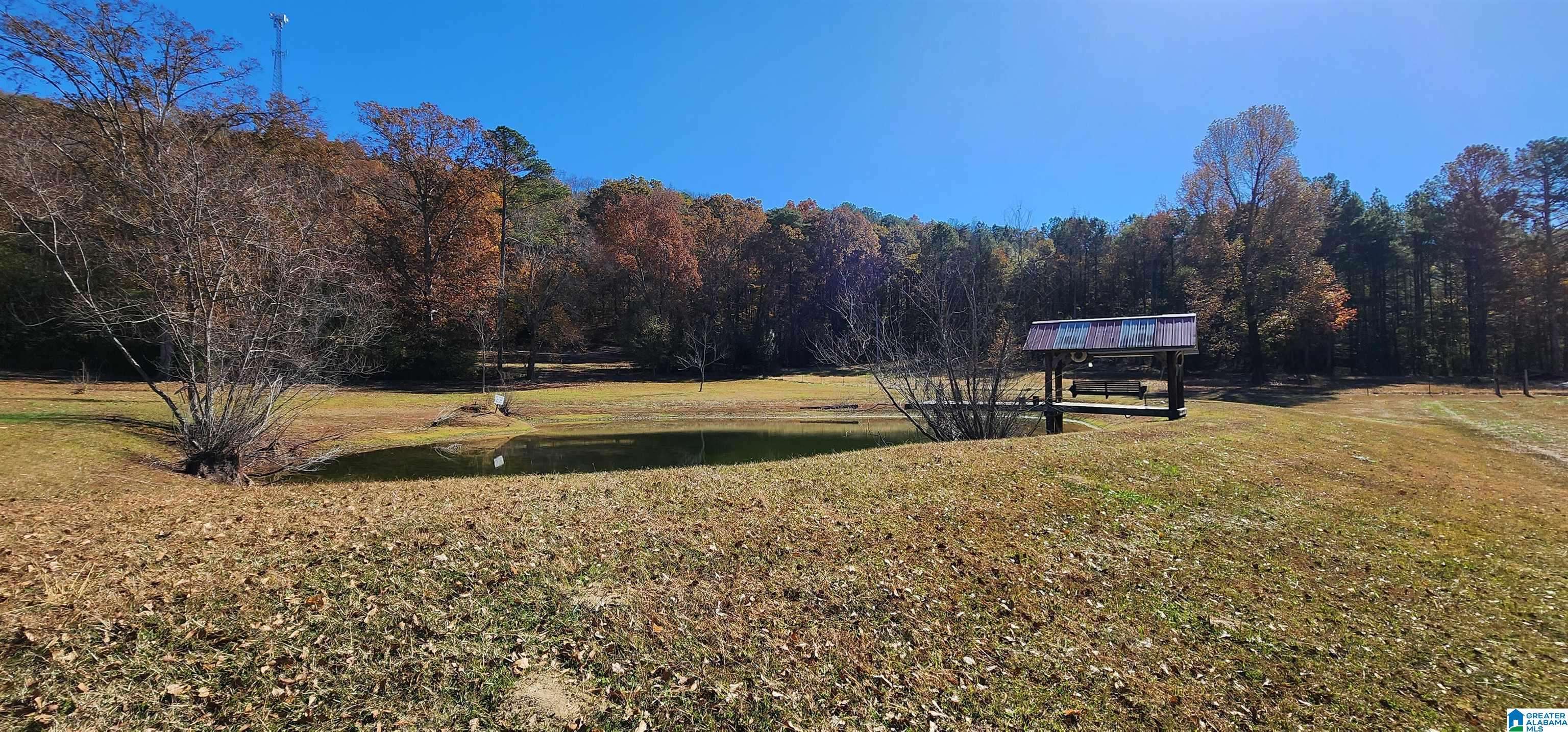 Oneonta, AL 35121,352 KUDZU ROAD