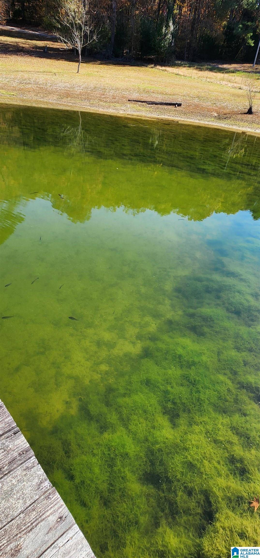 Oneonta, AL 35121,352 KUDZU ROAD