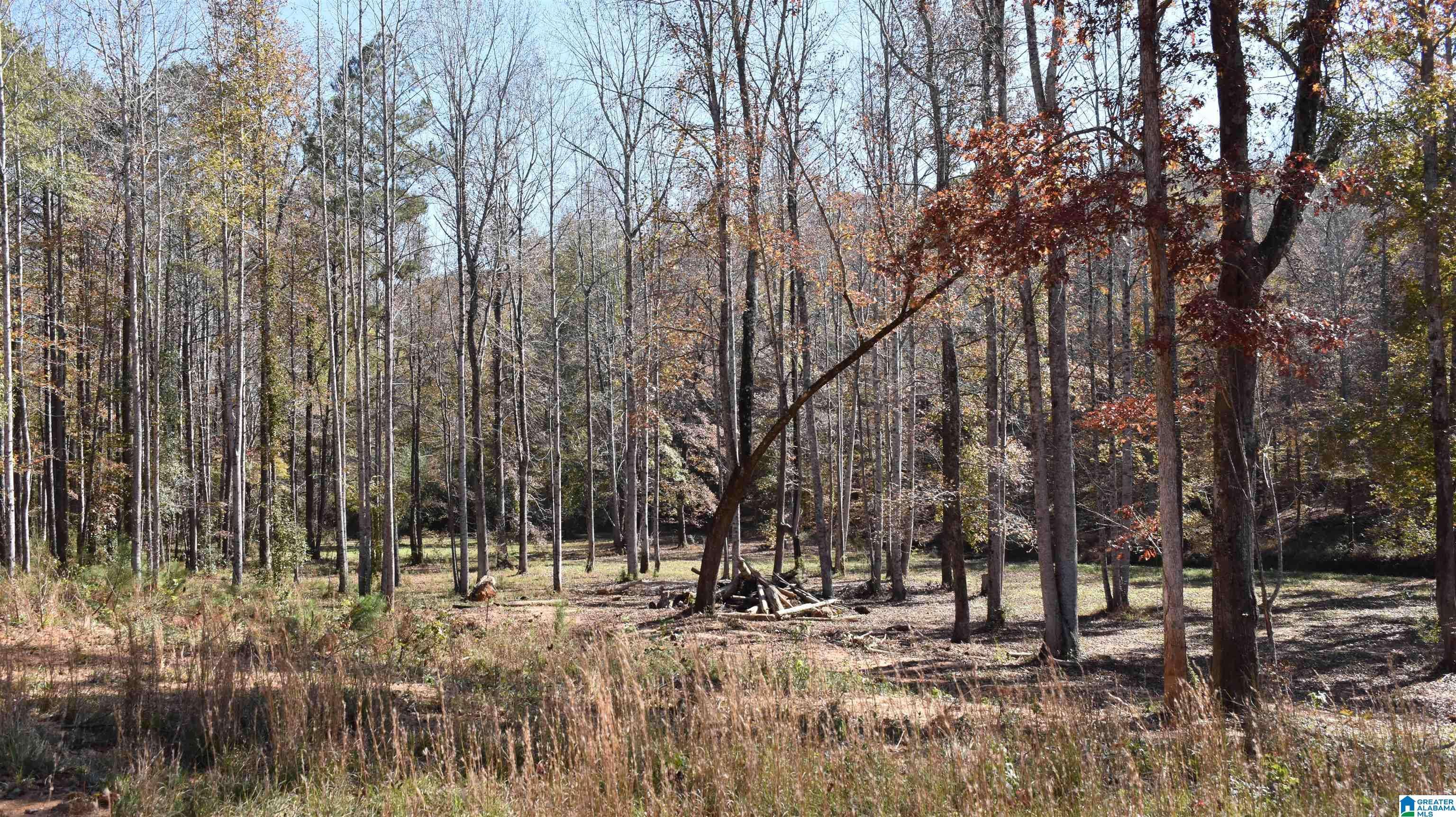 Sylacauga, AL 35150,0 CREEK RUN #16