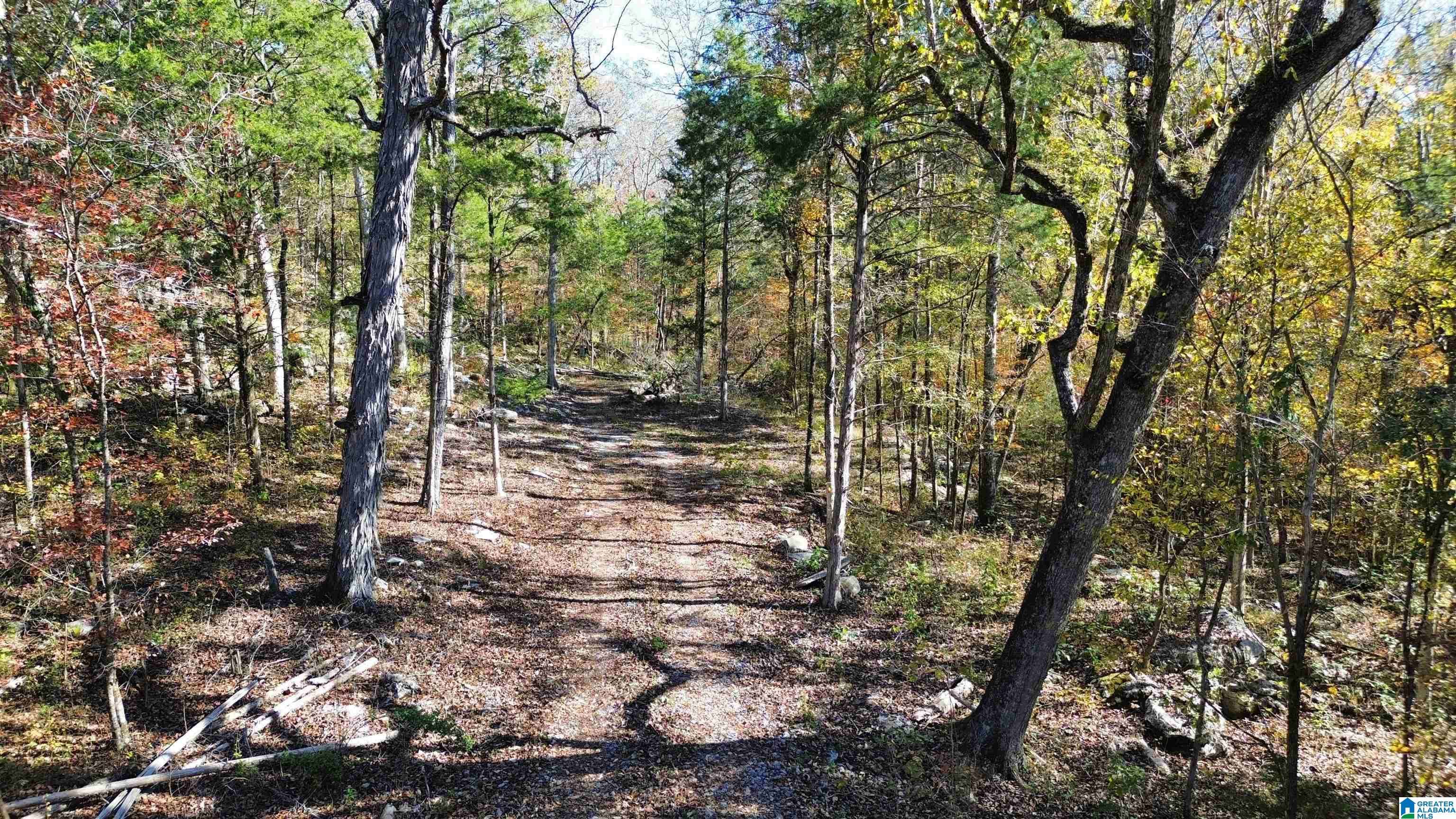 Warrior, AL 35180,0 MILL CREEK ROAD #20