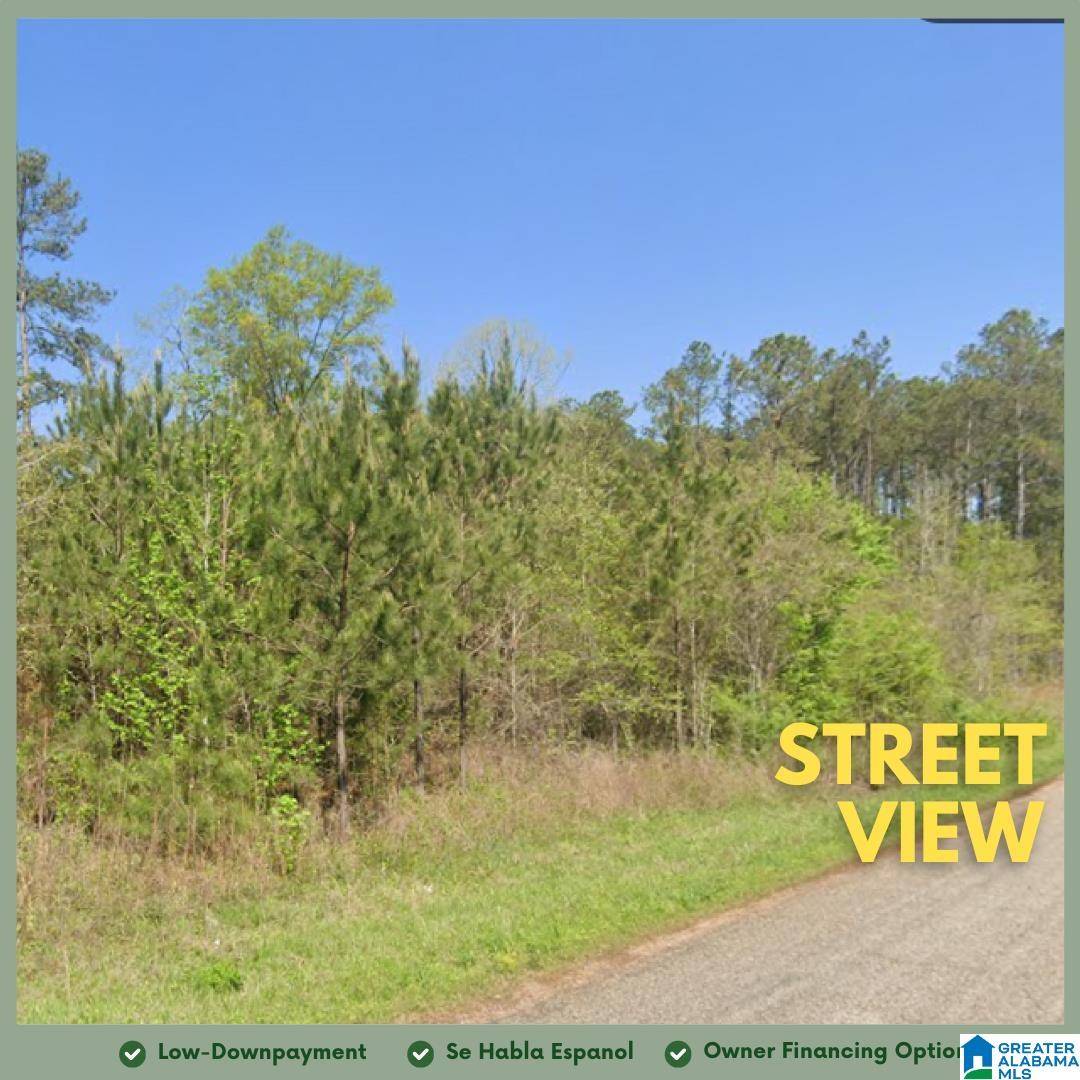 Wedowee, AL 36278,Tract 2B COUNTY ROAD 329 #Tract 2B