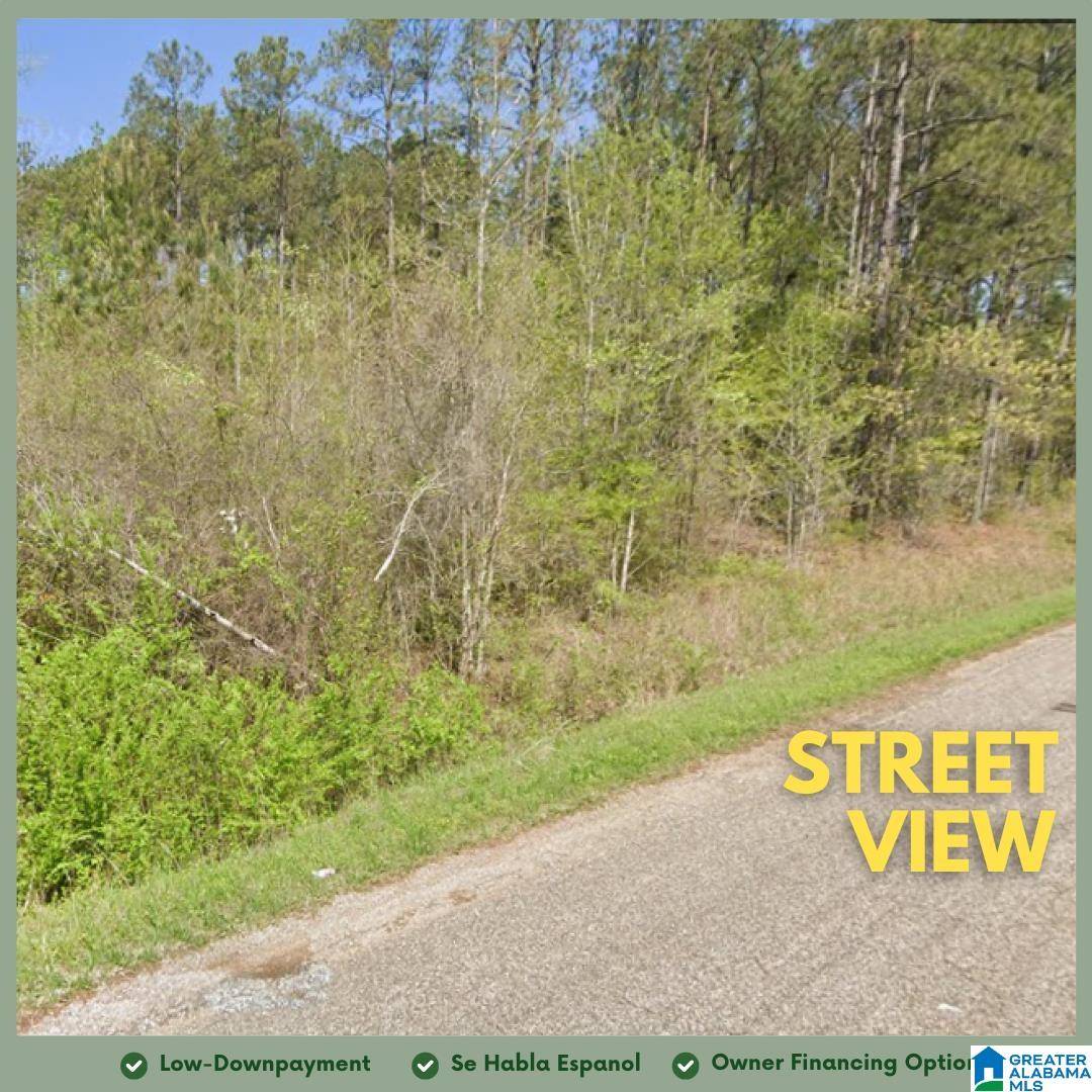 Wedowee, AL 36278,Tract 3A COUNTY ROAD 329 #Tract 3A