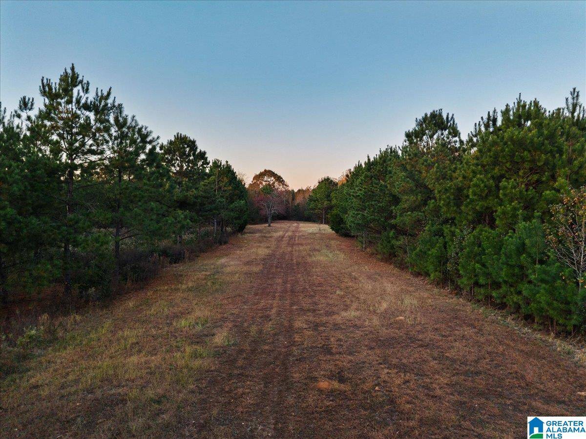 Cullman, AL 35179,1815 COUNTY ROAD 1224 #NA