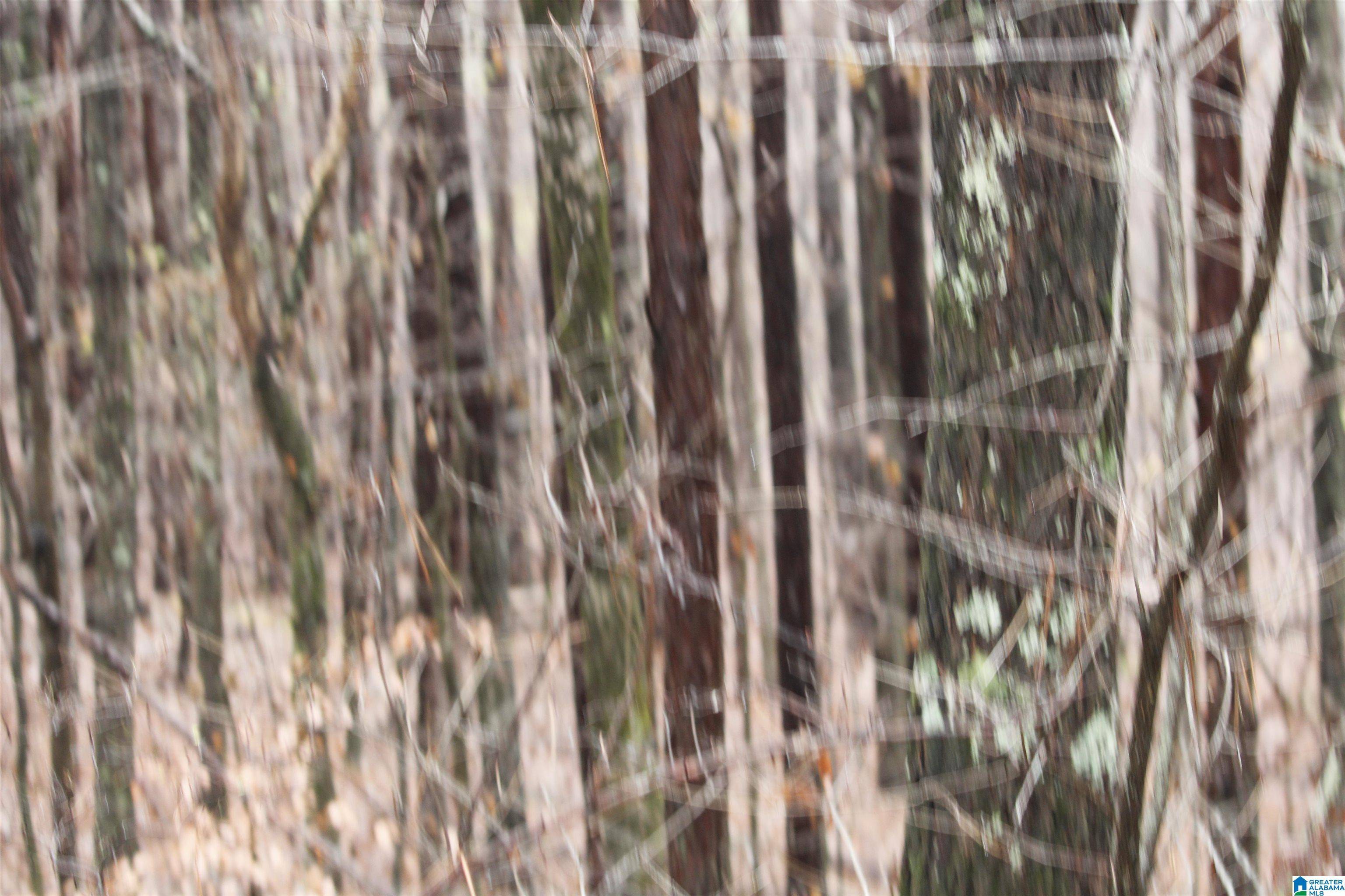 County, AL 35549,120 acres HIGHWAY 102 #120 acres