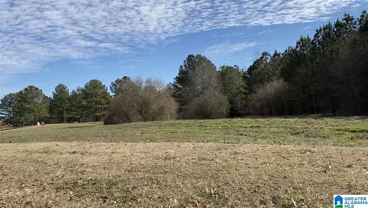 Thorsby, AL 35171,Lot 22 COUNTY ROAD 70 #22