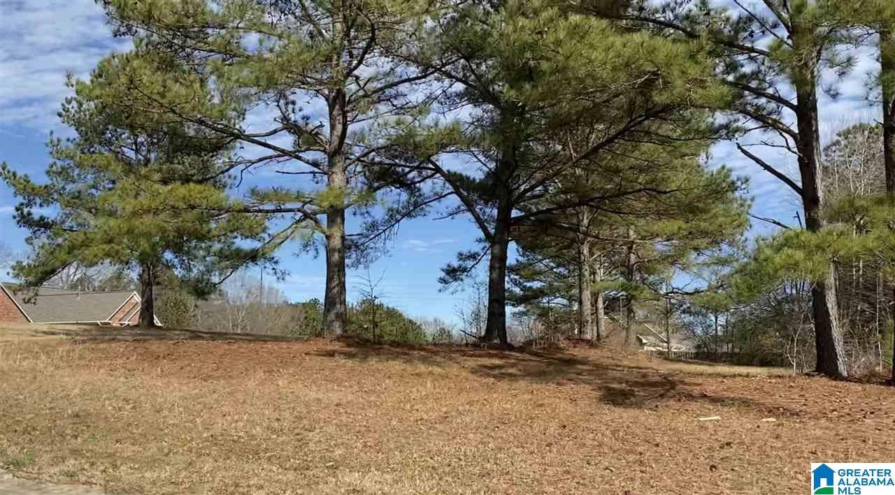 Thorsby, AL 35171,Lot 25 COUNTY ROAD 70 #25