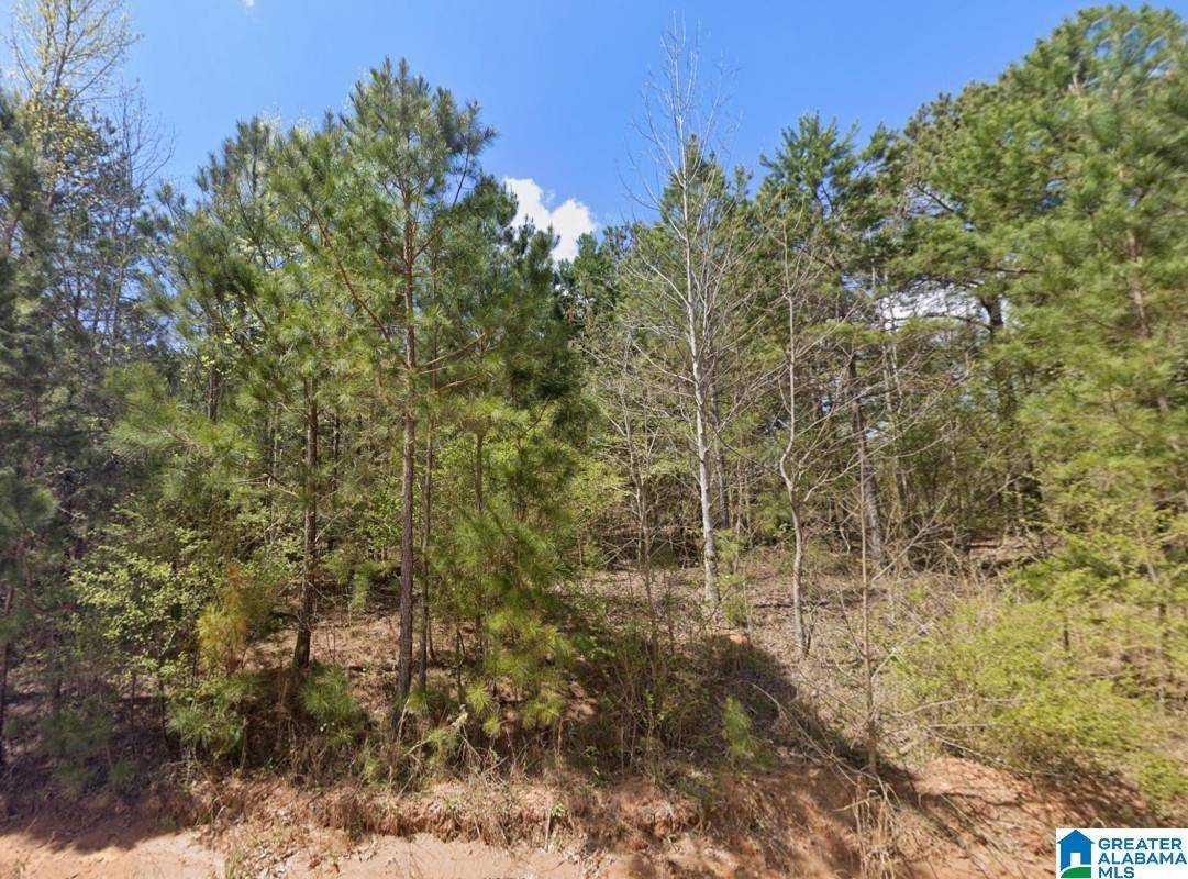 Woodland, AL 36280,0 COUNTY ROAD 621 #-