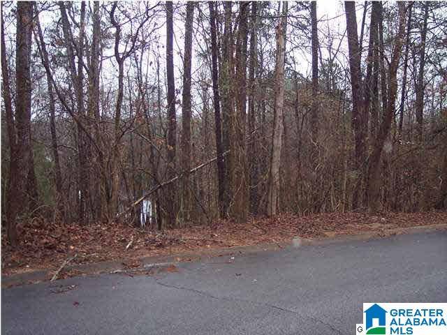 Jacksonville, AL 36265,107 HILLANDALE DRIVE #LOT 6