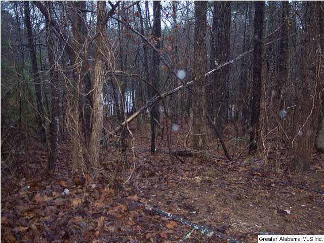 Jacksonville, AL 36265,107 HILLANDALE DRIVE #LOT 6