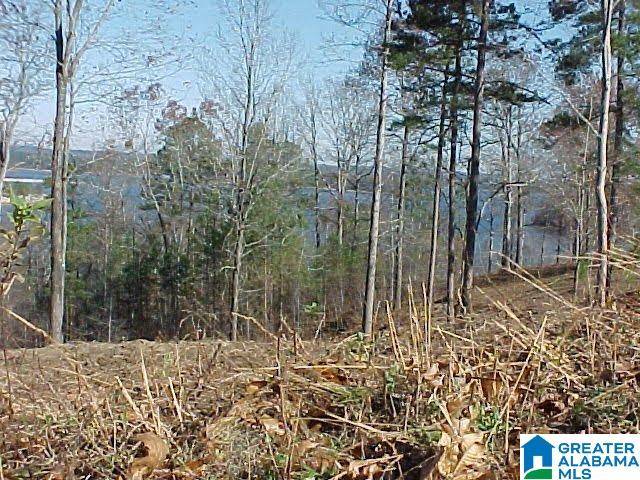 Wedowee, AL 36278,LOT # 20 OVERLOOK DRIVE #20
