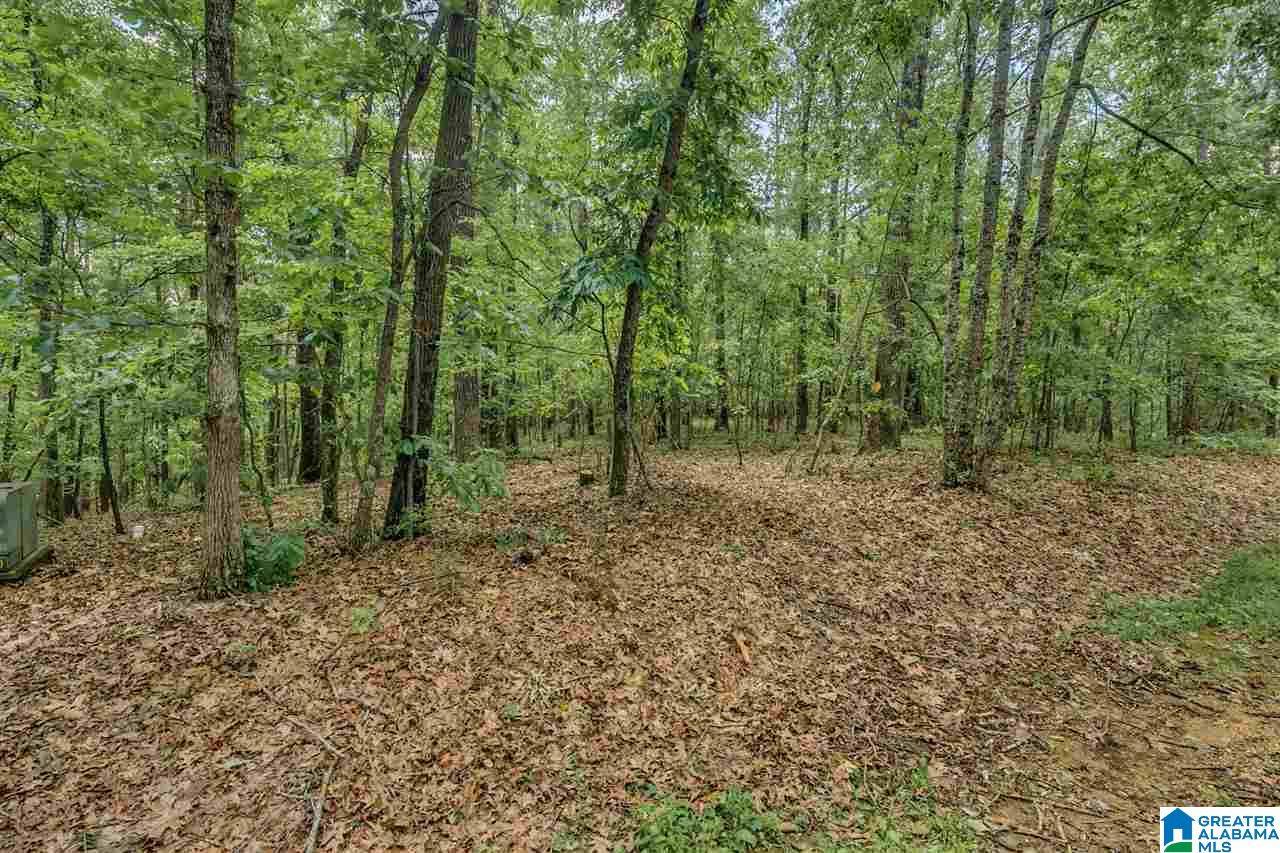 Birmingham, AL 35242,5 AUGUSTA WAY #154