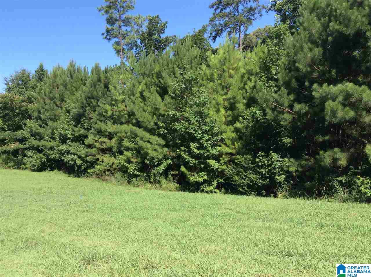 Birmingham, AL 35242,LOT 1 INDIAN GATE CIRCLE #1