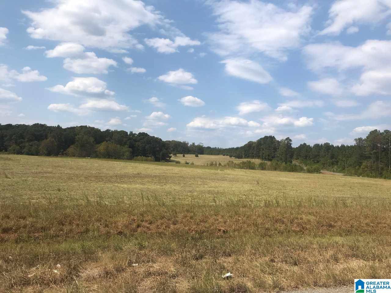 Montevallo, AL 35115,CO RD 46 #11A