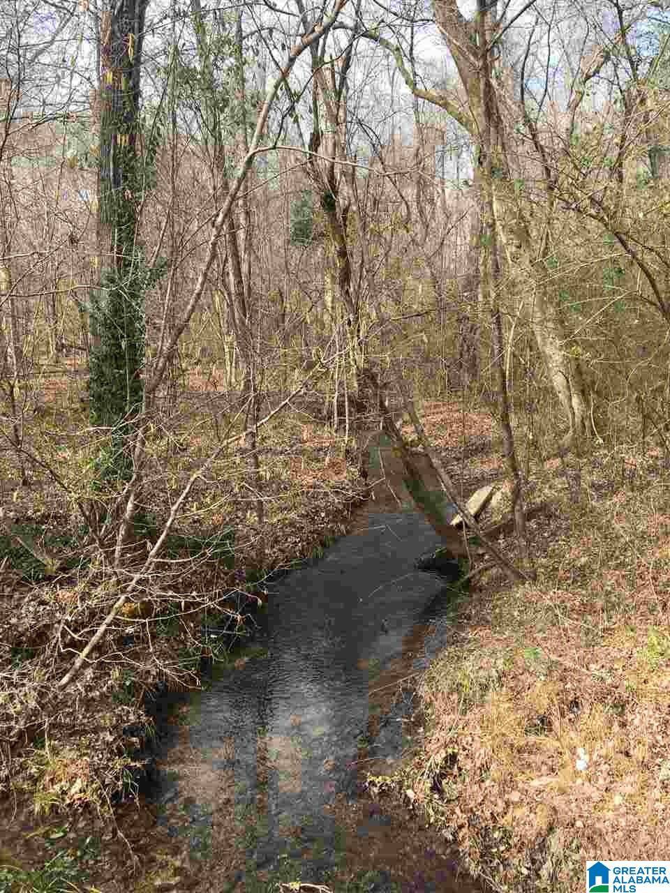 Harpersville, AL 35078,5431 ROCK SCHOOL ROAD #00