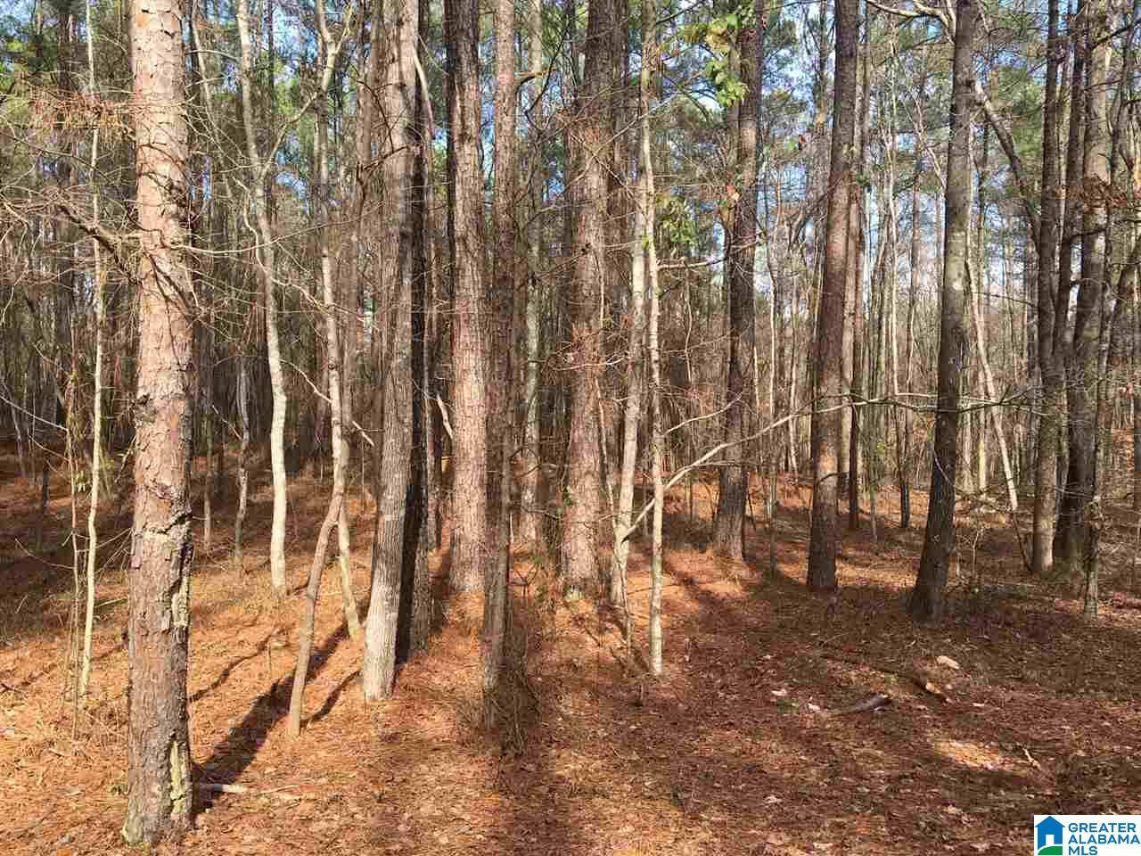 Harpersville, AL 35078,5431 ROCK SCHOOL ROAD #00