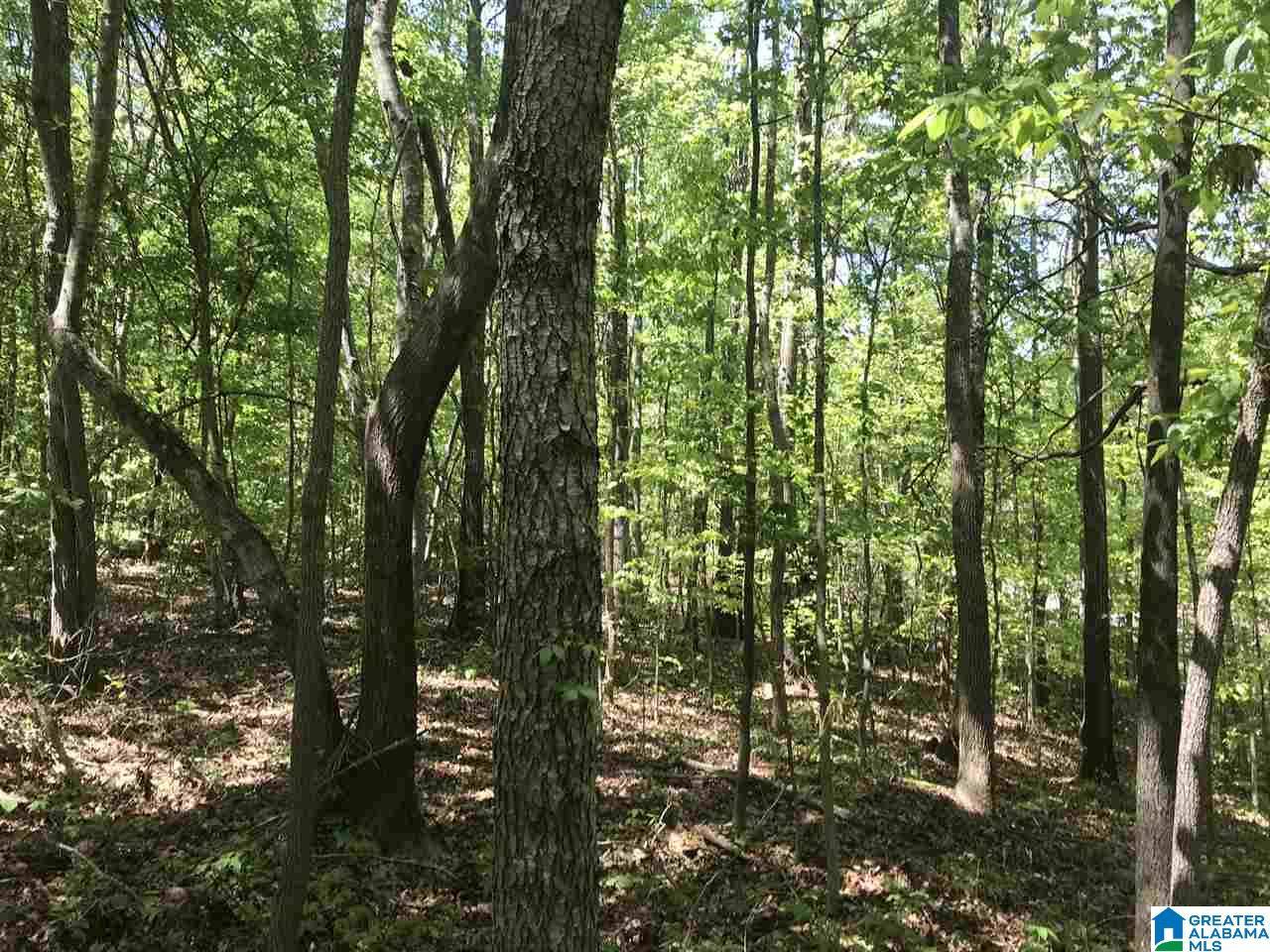 Ashville, AL 35953,00 SHOAL CREST DRIVE #1 and 2