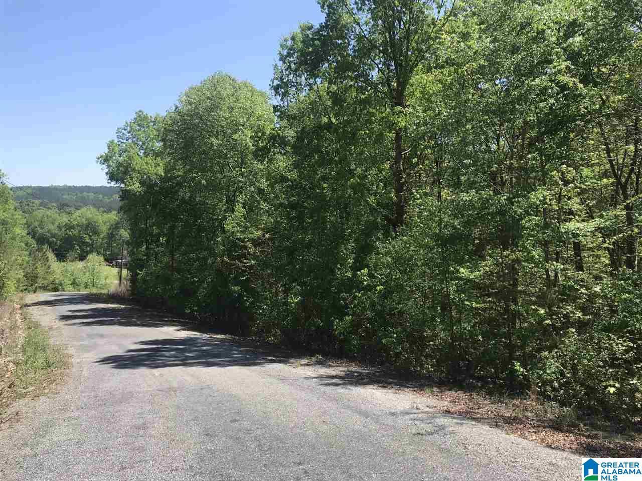 Ashville, AL 35953,00 SHOAL CREST DRIVE #1 and 2