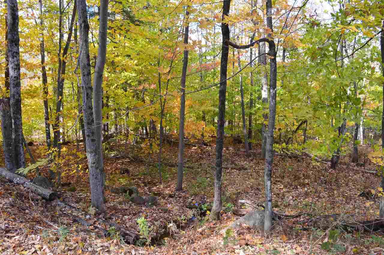 Tuftonboro, NH 03816,Lot 23 Mountain RD