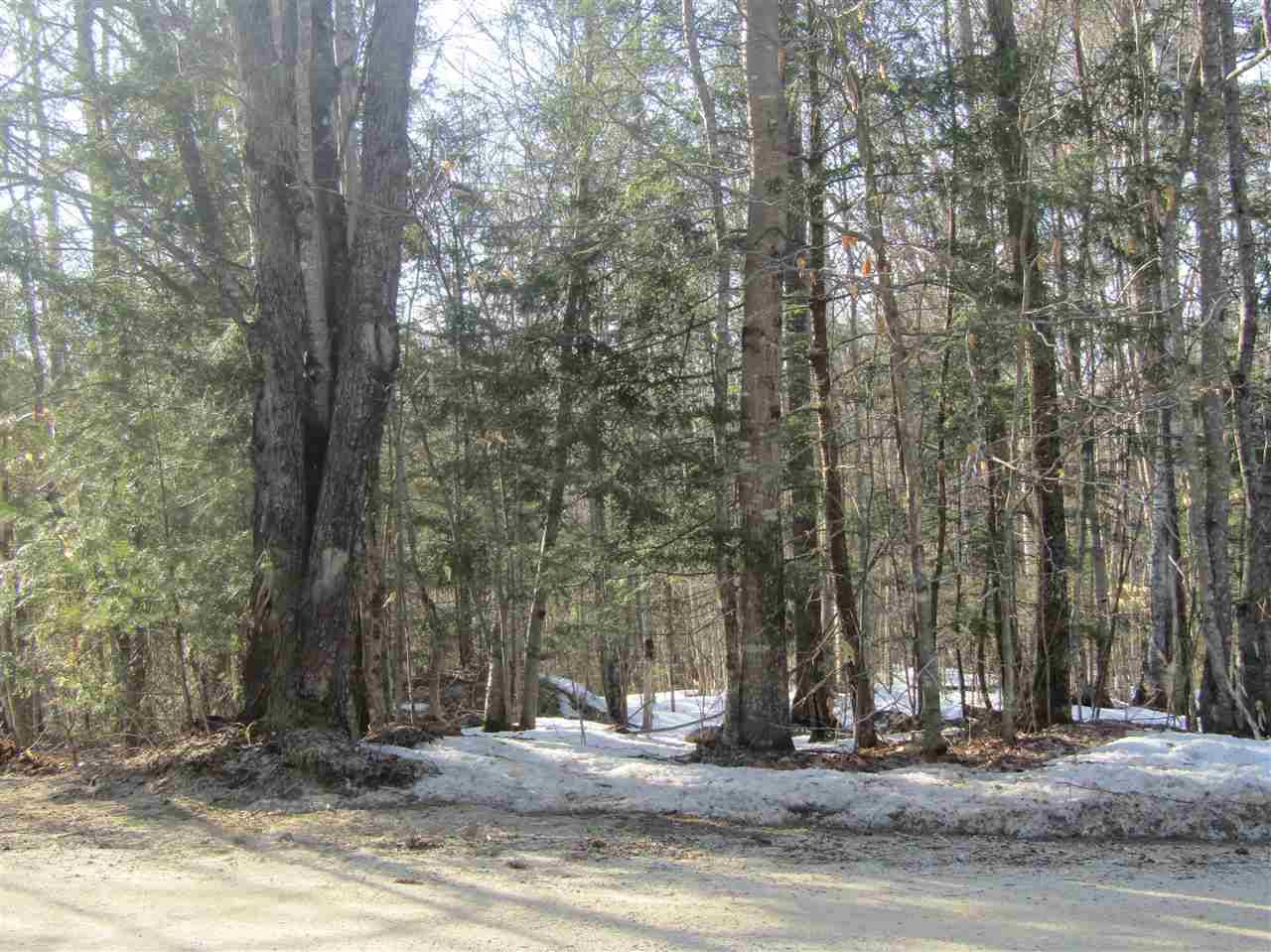 Campton, NH 03223,Lot 34 Goose Hollow RD