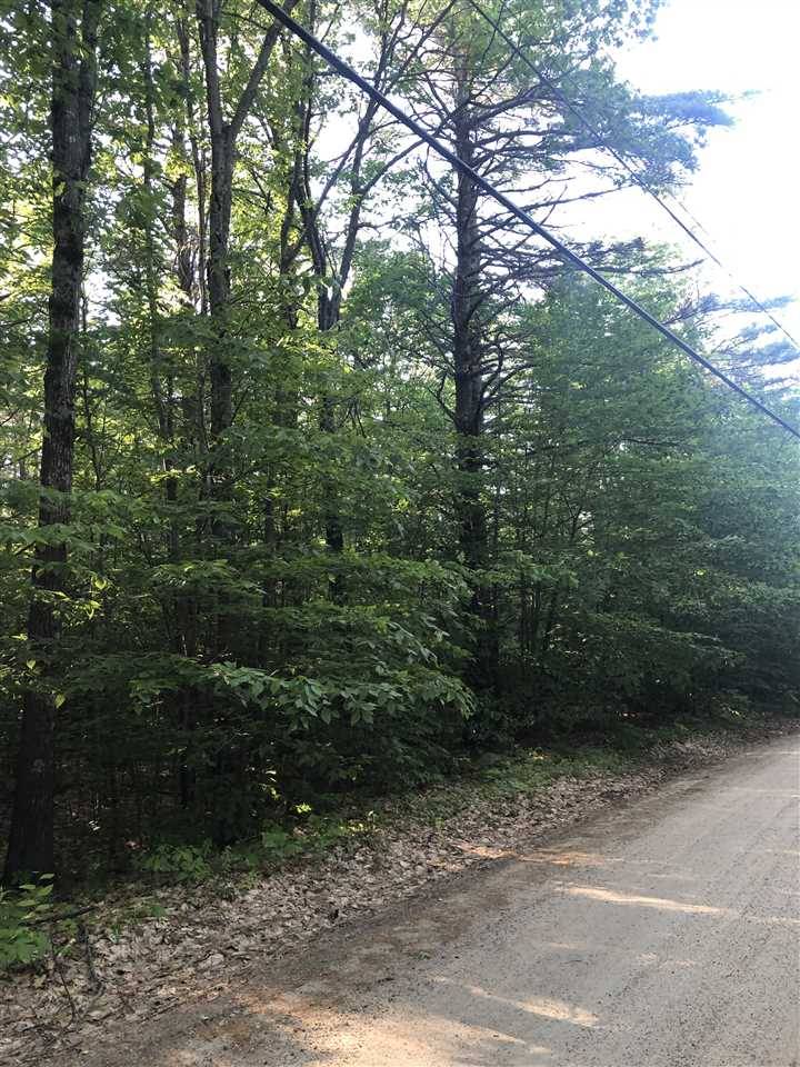 Wakefield, NH 03872,Lot 15 Wyman Point RD