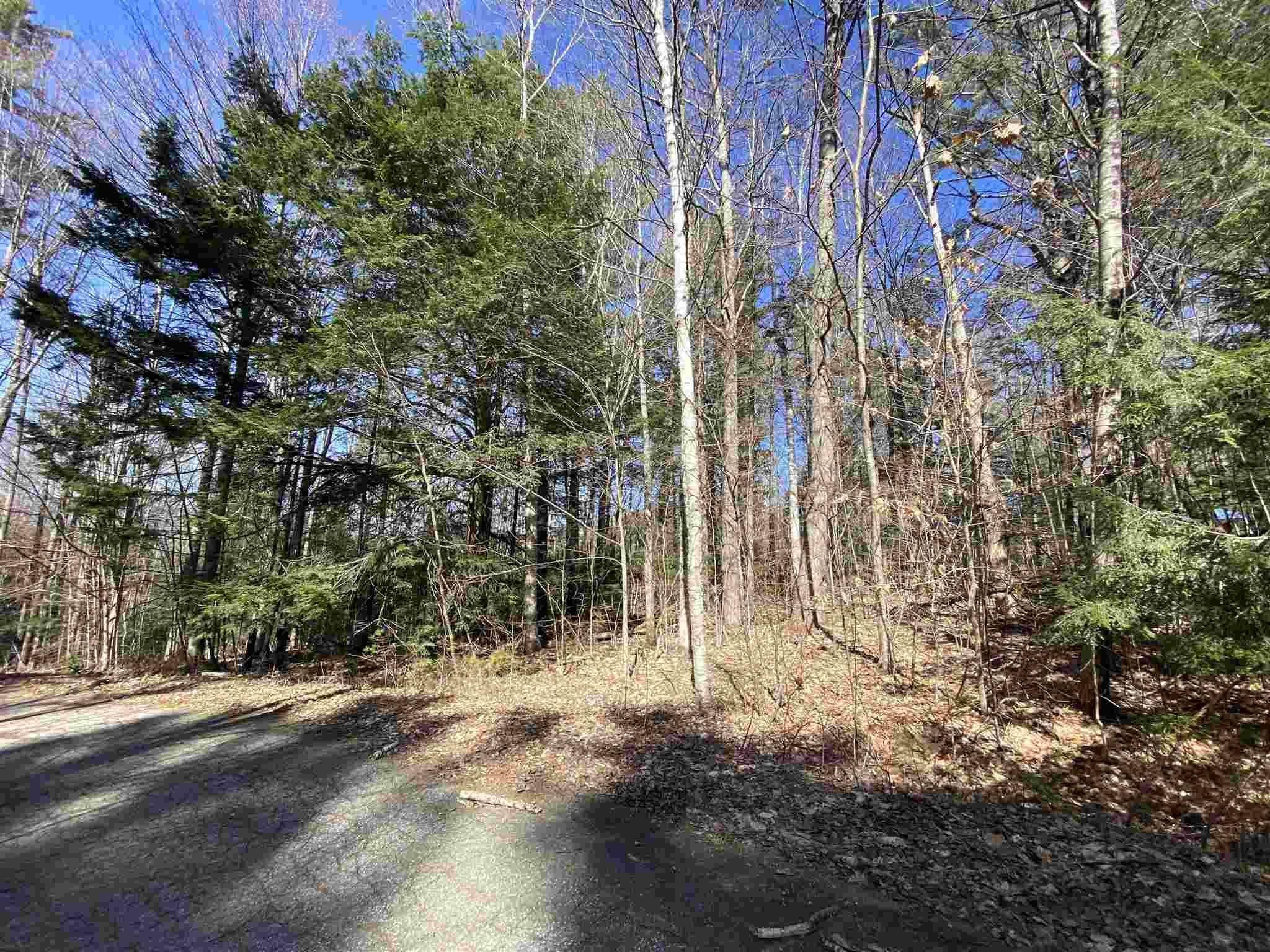 Campton, NH 03223,2 Briarcliff CIR