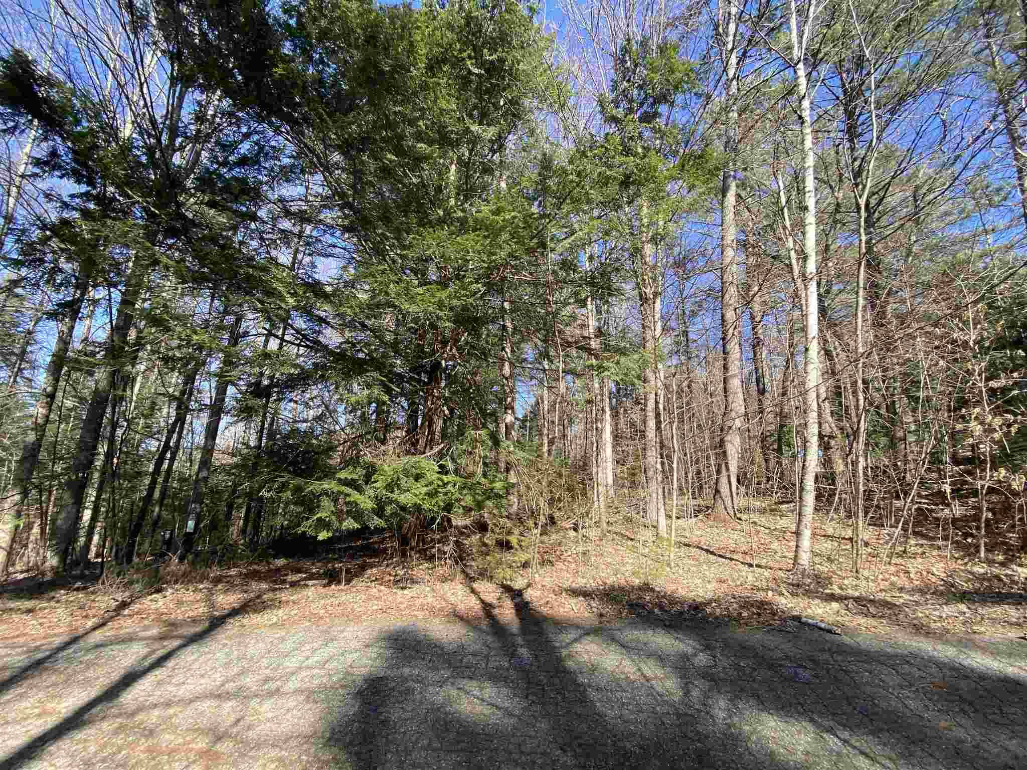 Campton, NH 03223,2 Briarcliff CIR