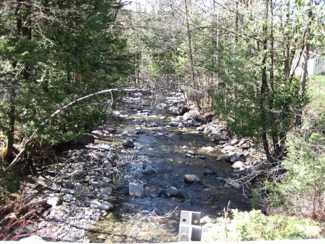 Walden, VT 05842,272 Stannard Mountain RD