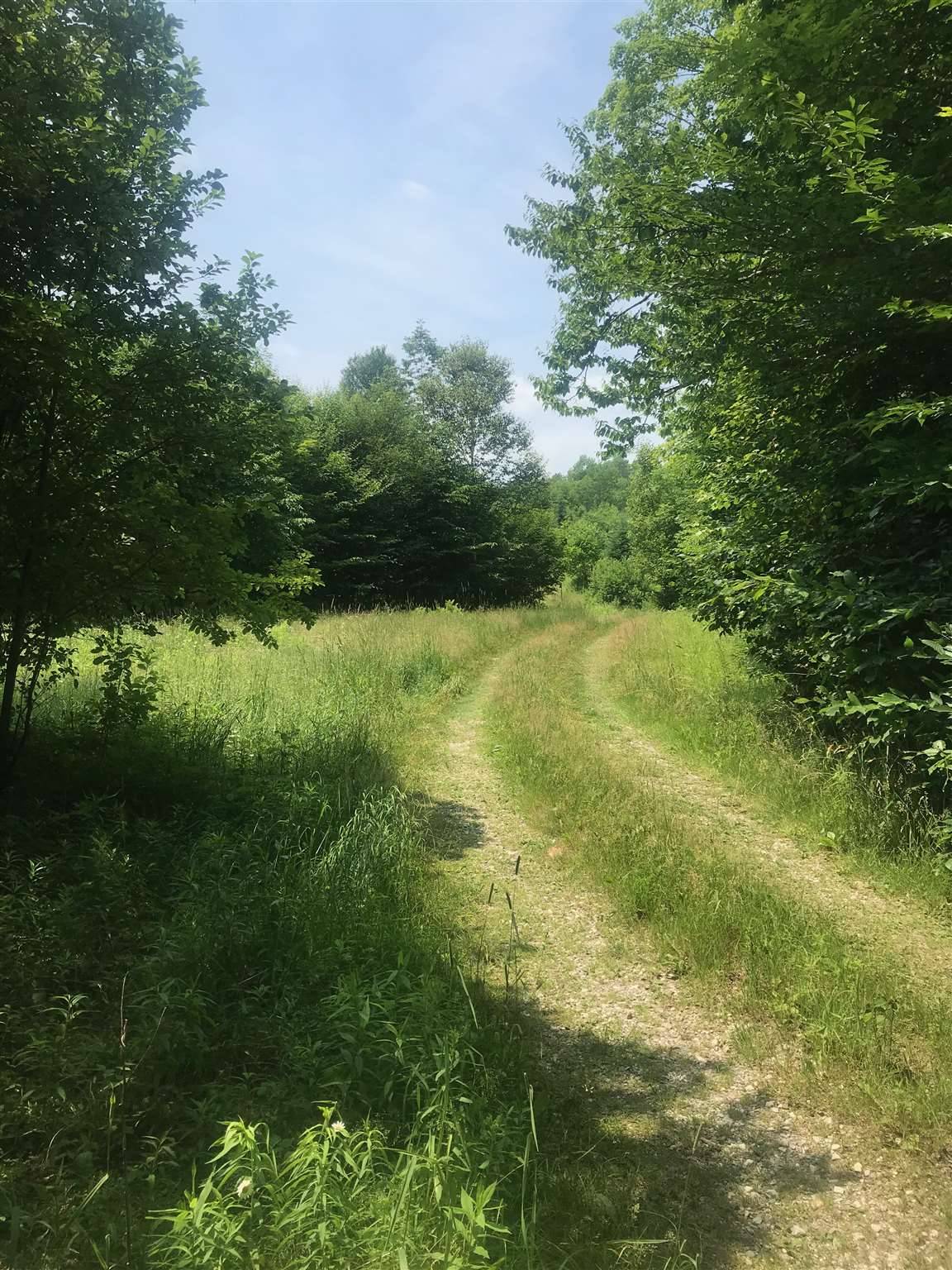 Mount Holly, VT 05758,705 Hedgehog Hill RD