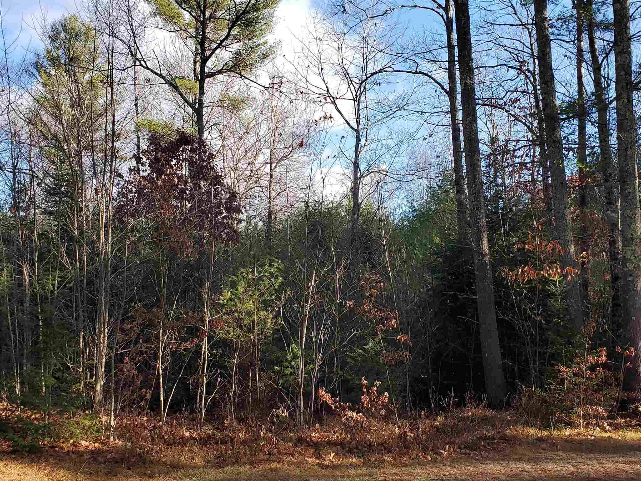 Tuftonboro, NH 03816,Lot 28 Mountain Shadows DR