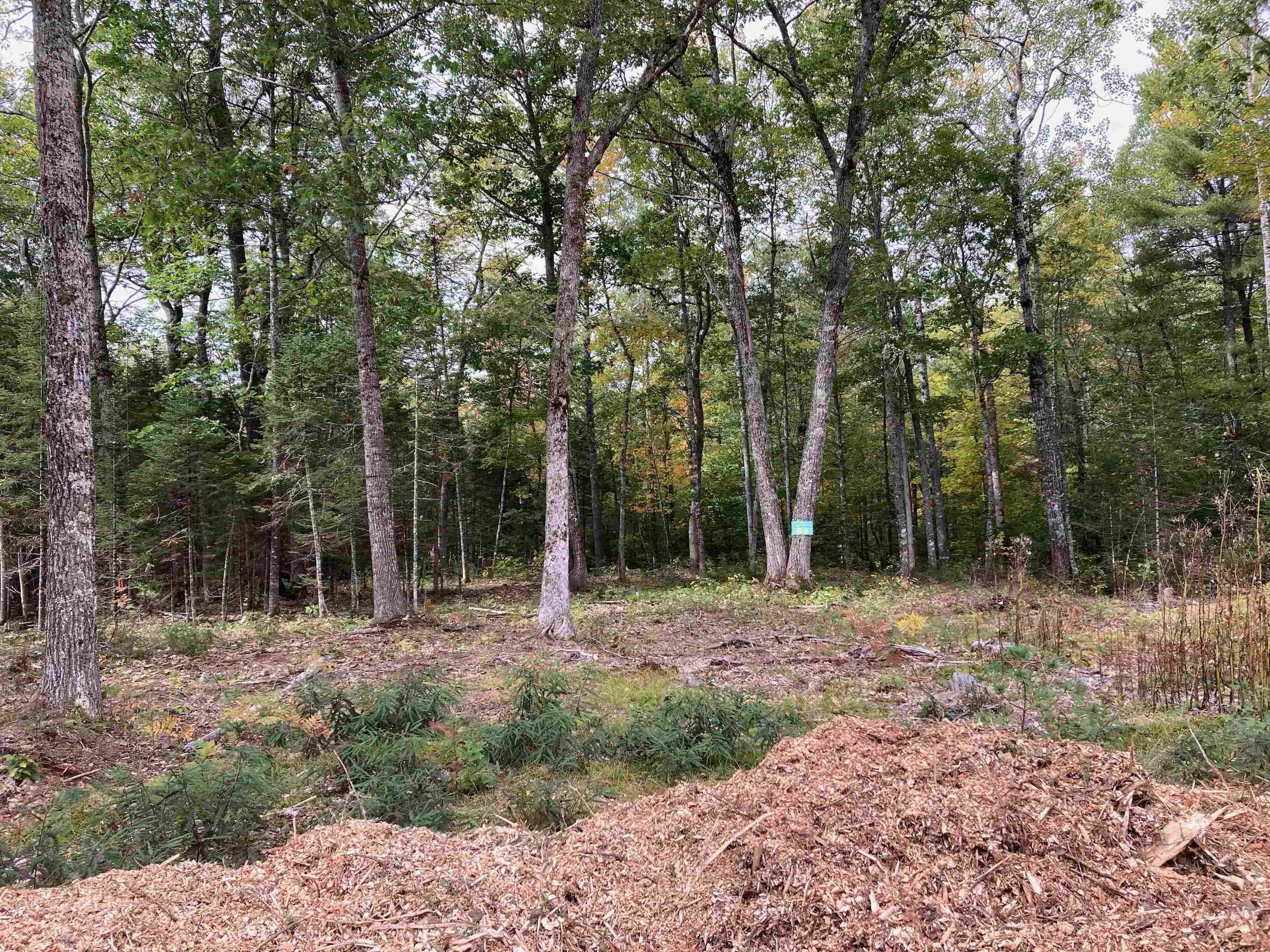 Tuftonboro, NH 03816,#52 Remington CT #Lot 52