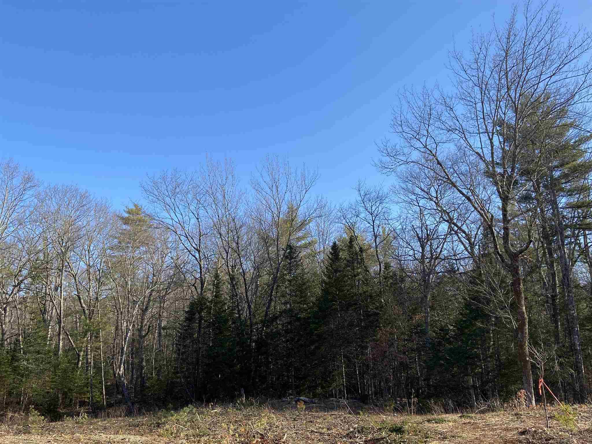 Tuftonboro, NH 03816,#52 Remington CT #Lot 52