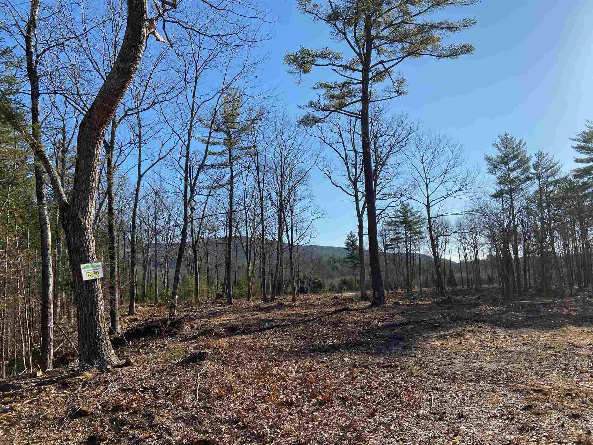 Tuftonboro, NH 03816,#53 Remington CT #Lot 53