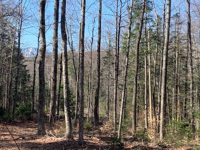 Landgrove, VT 05148,32 Old County East RD