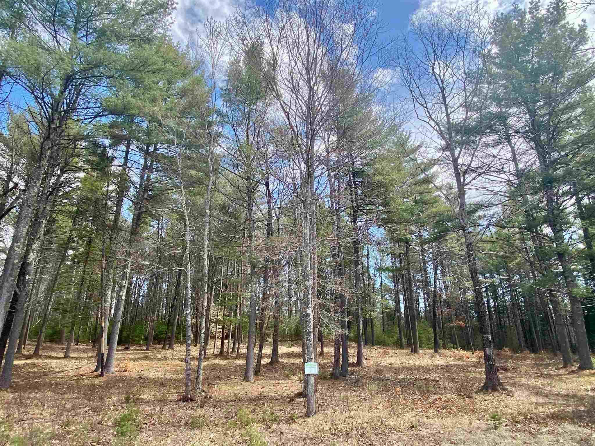 Tuftonboro, NH 03816,#33 Blake TRL #lot 33