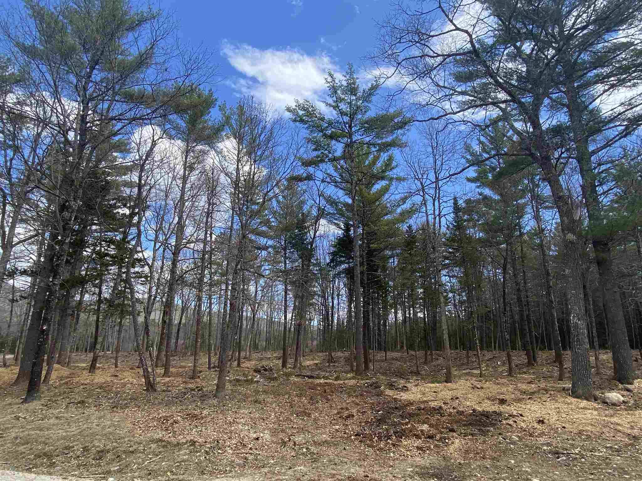 Tuftonboro, NH 03816,#46 Winchester LN #Lot 46