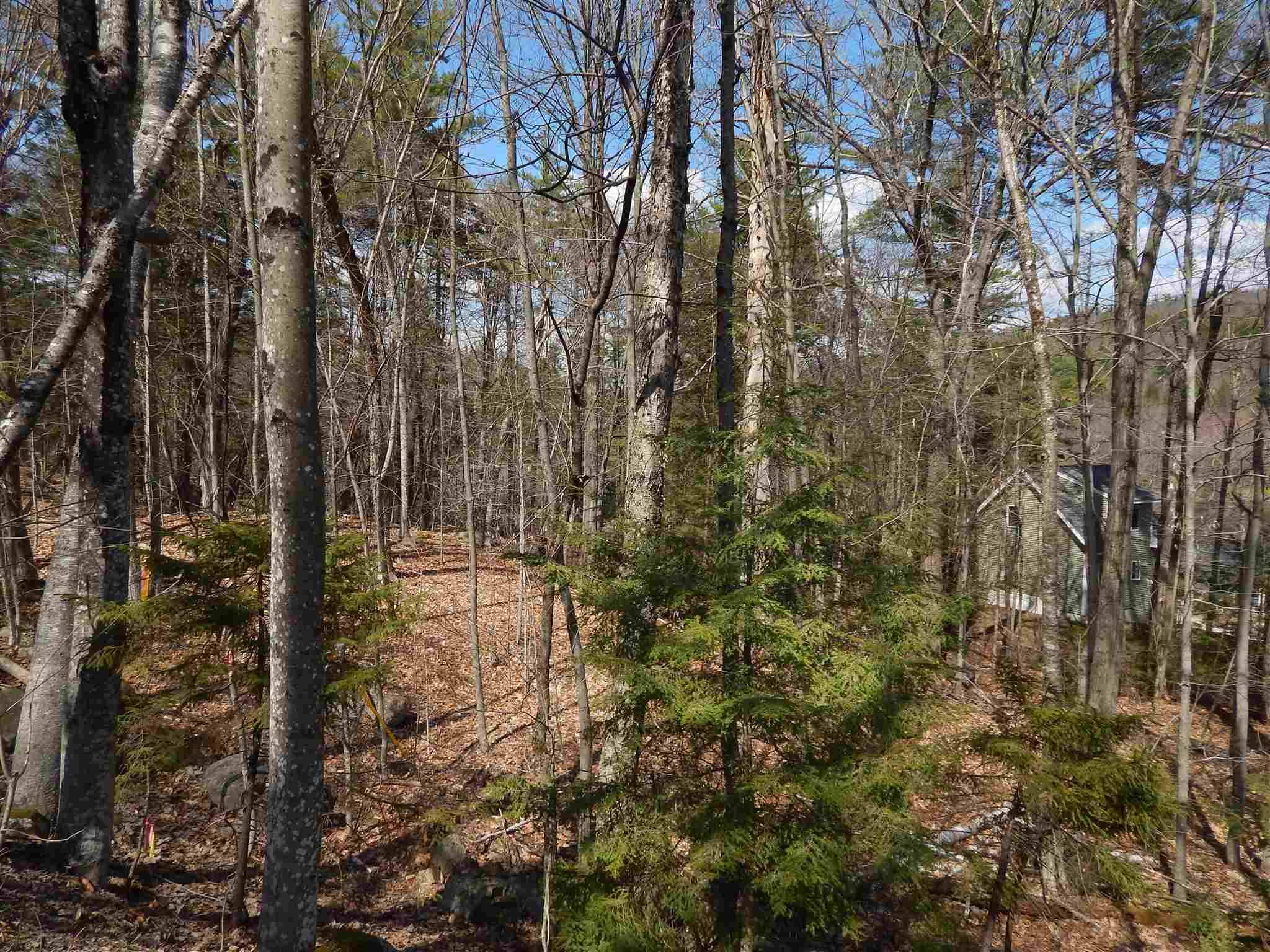 Newbury, NH 03255,Lot 61 Hilltop DR