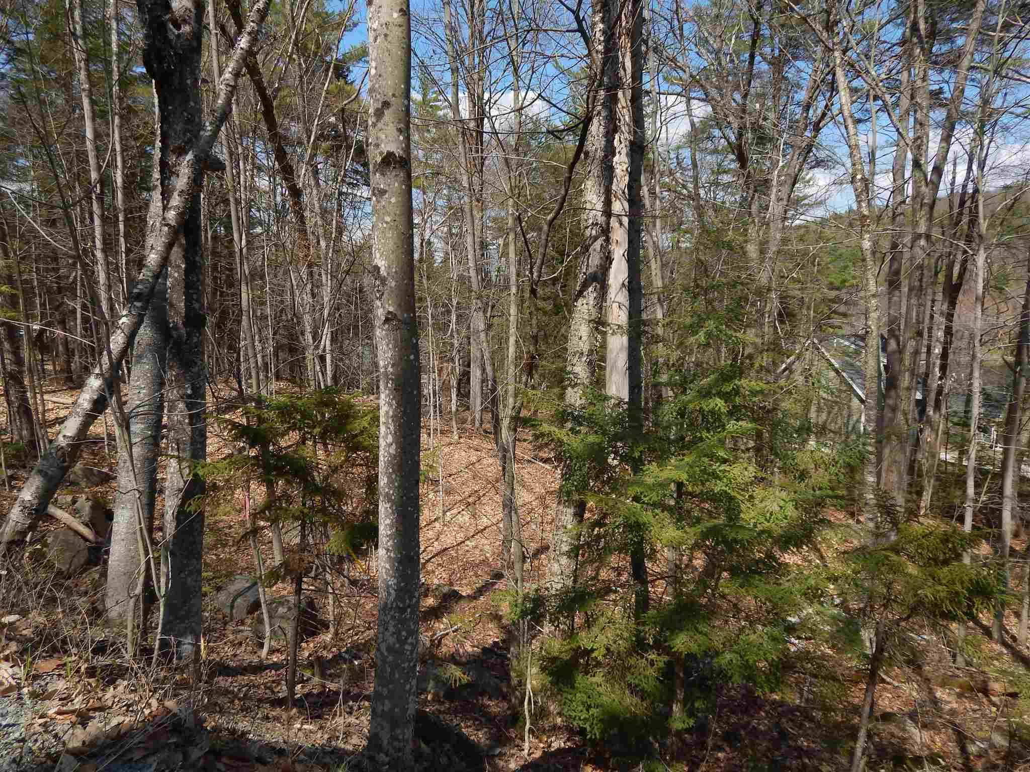 Newbury, NH 03255,Lot 61 Hilltop DR