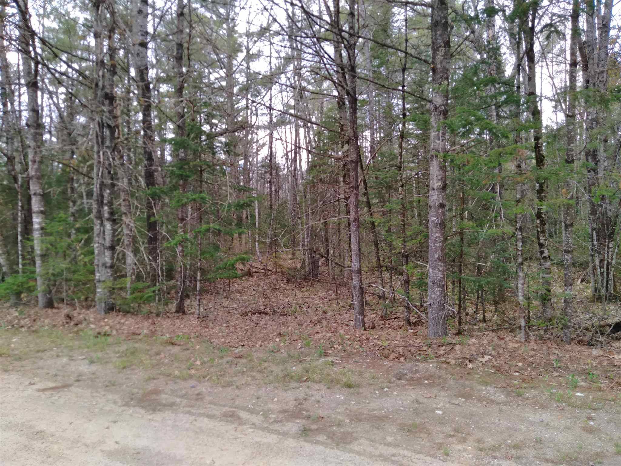 Tuftonboro, NH 03816,Lot 14 Partridgeberry CIR